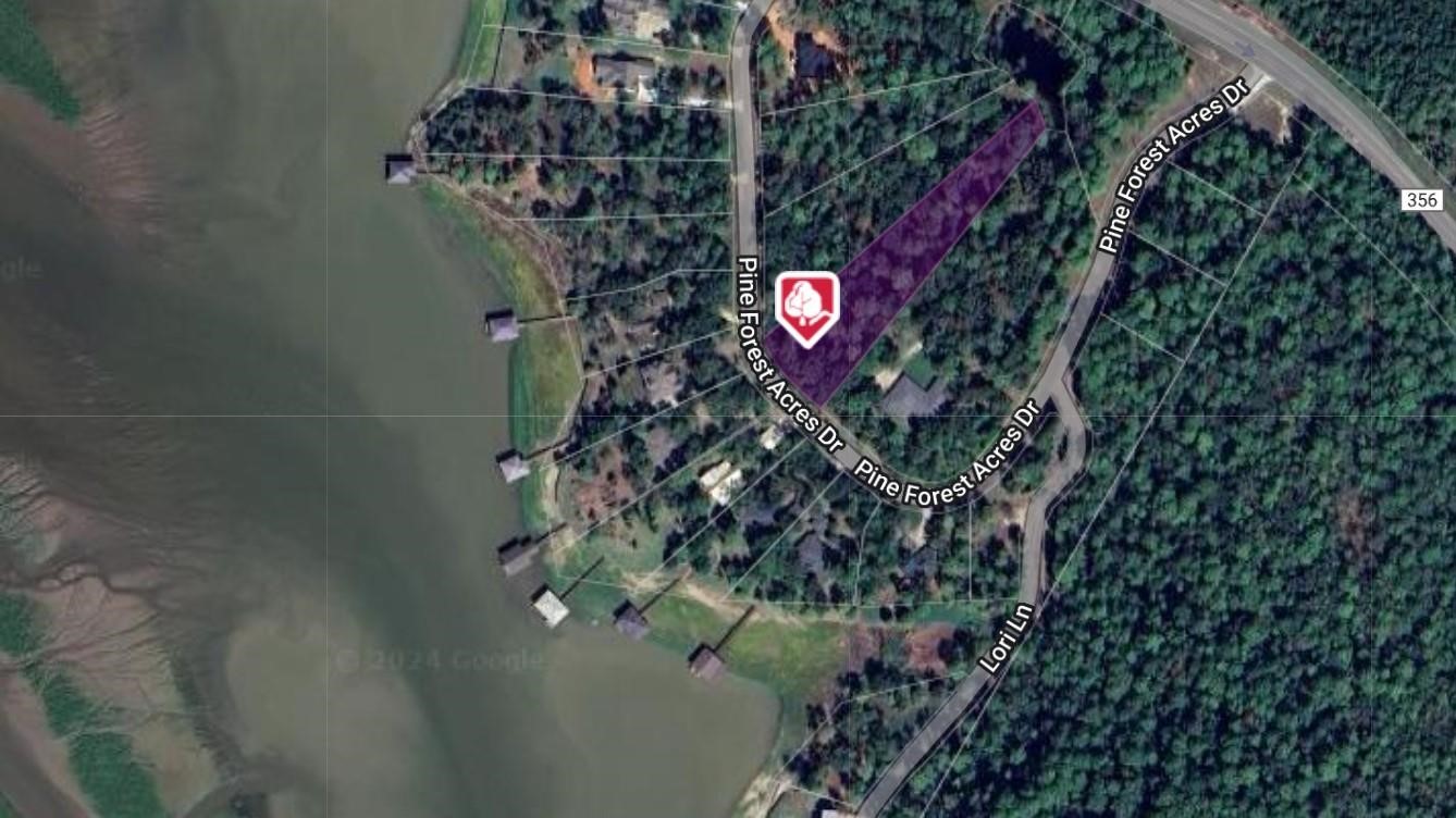 400 Pine Forest Acres Property Photo 1