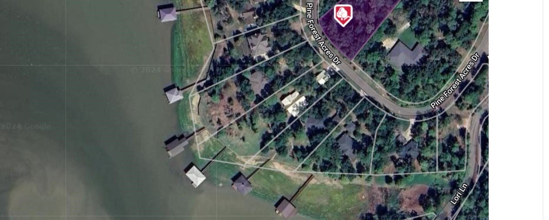 400 Pine Forest Acres Property Photo 2