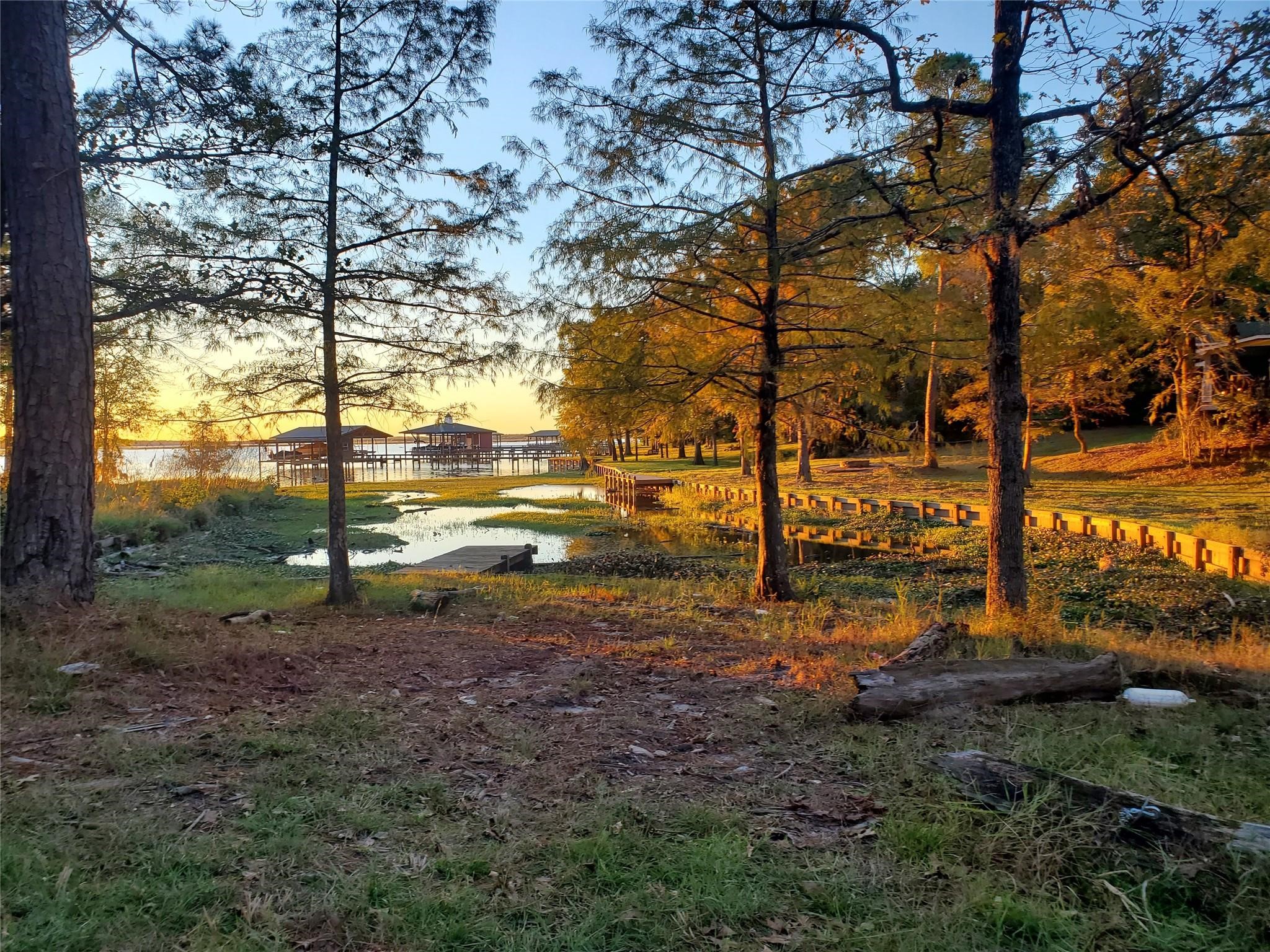 400 Pine Forest Acres Property Photo 3