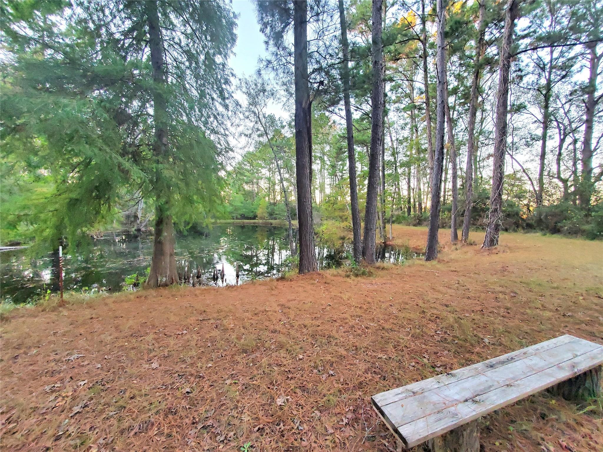 400 Pine Forest Acres Property Photo 4