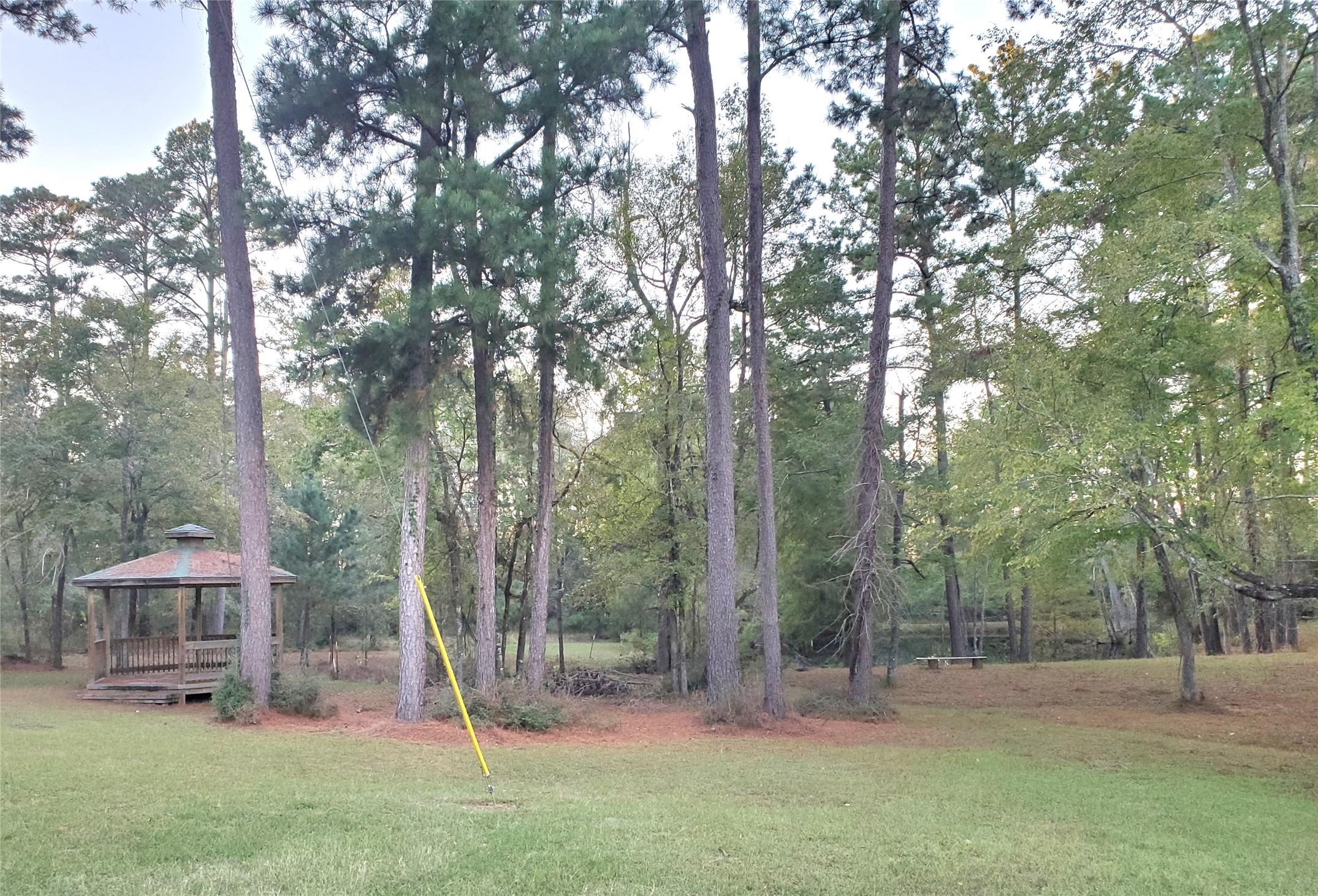 400 Pine Forest Acres Property Photo 5