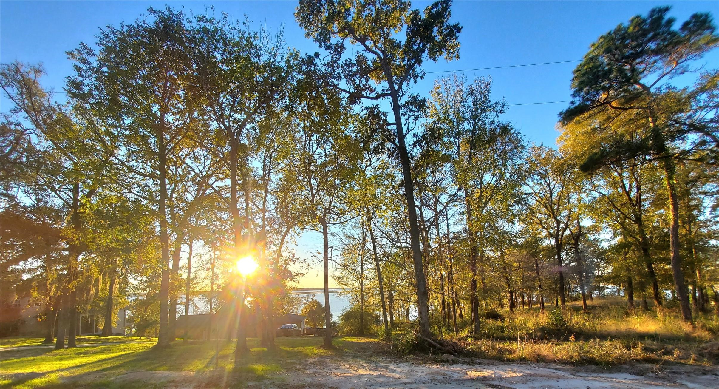 400 Pine Forest Acres Property Photo 6