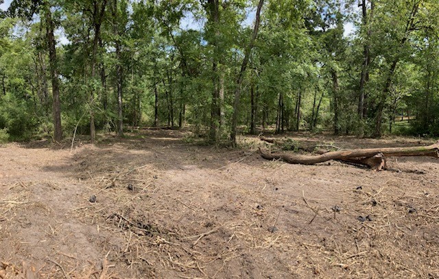 400 Pine Forest Acres Property Photo 8
