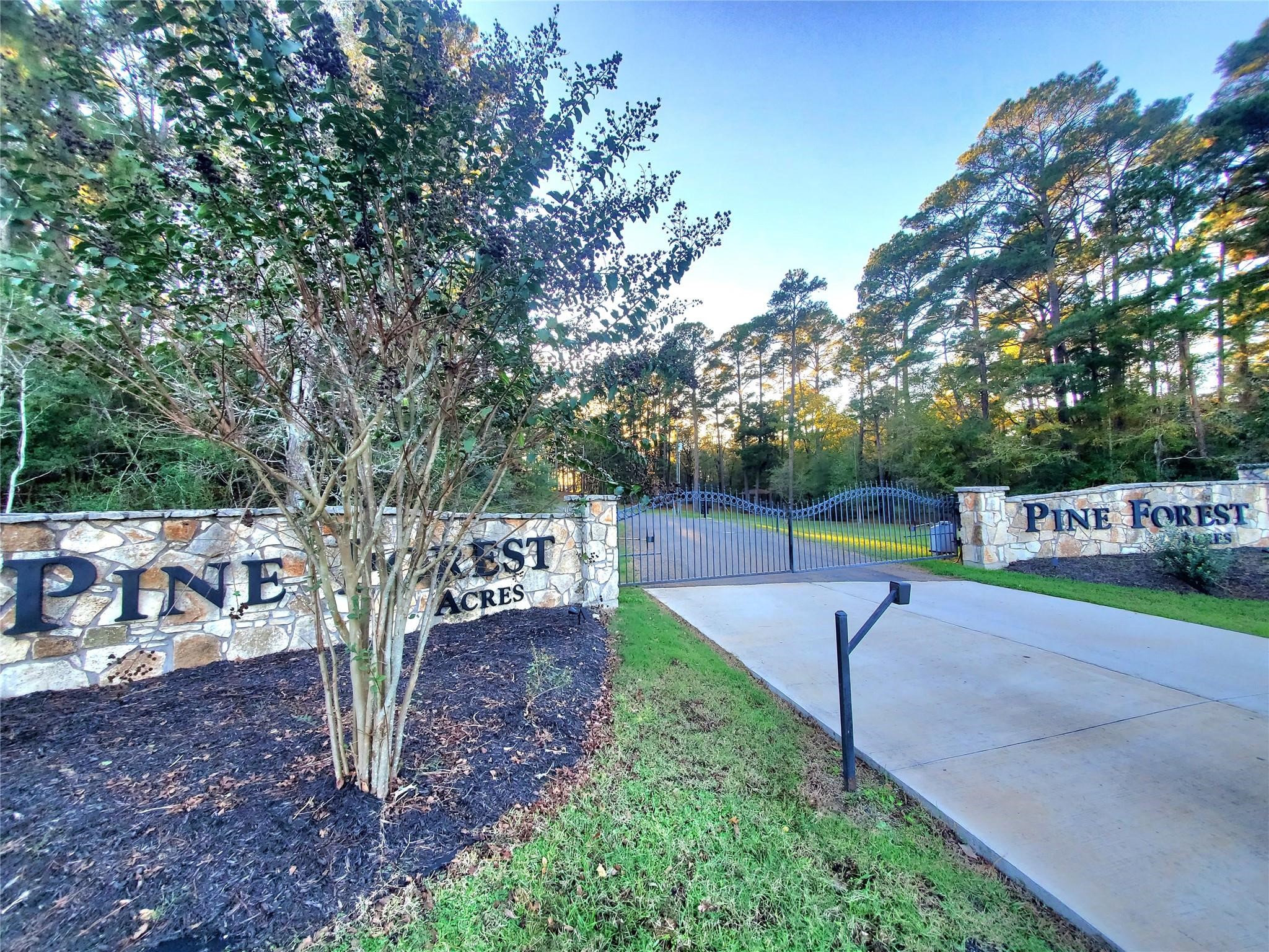 400 Pine Forest Acres Property Photo 12