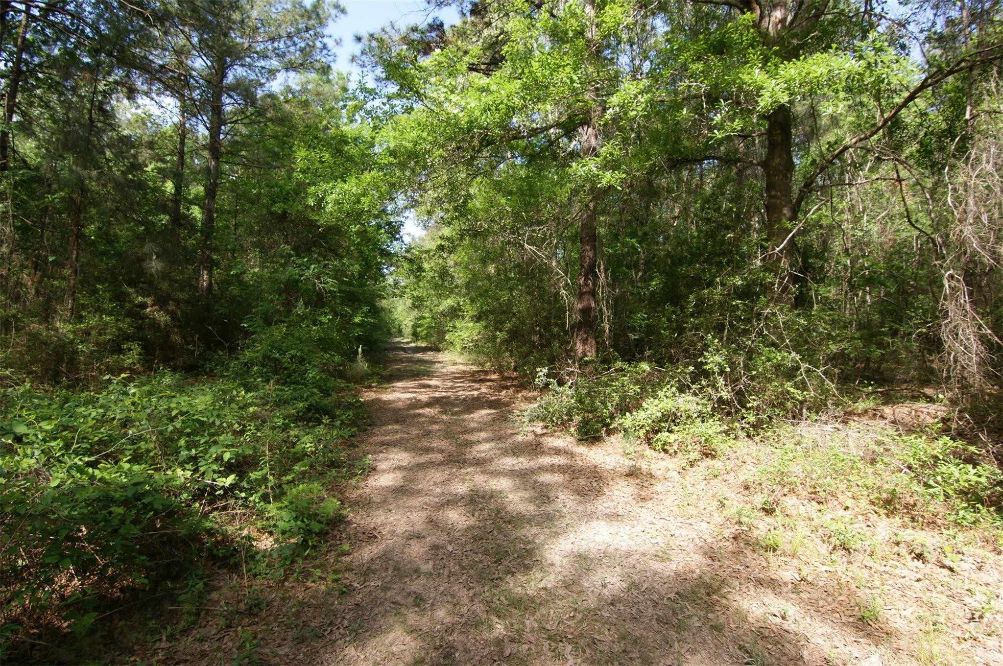 Tbd Roman Forest Blvd Property Photo 2