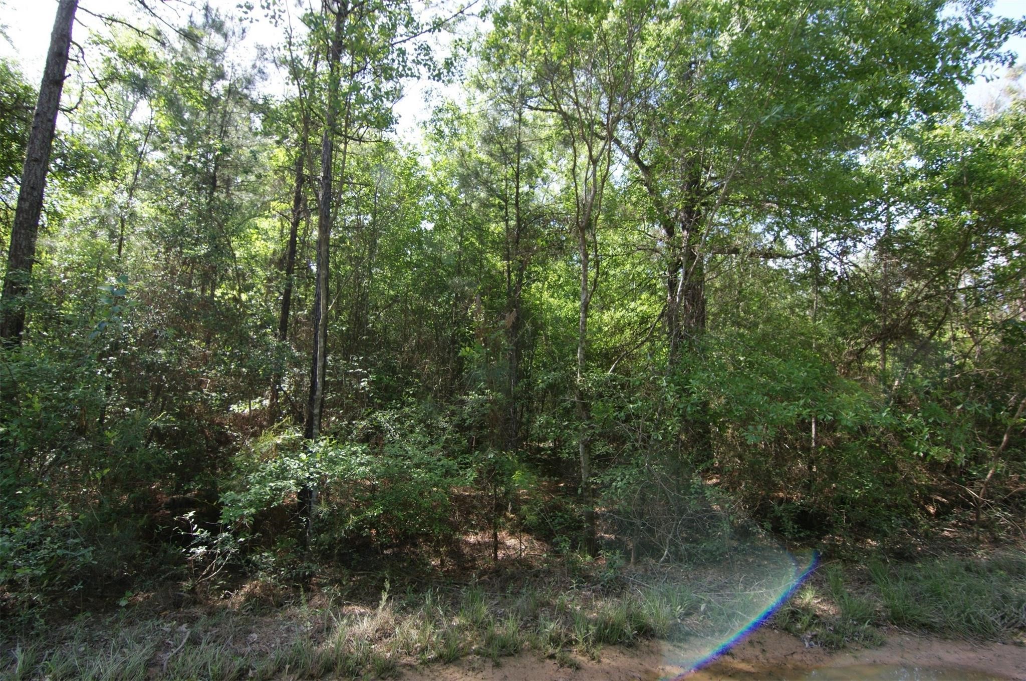 Tbd Roman Forest Blvd Property Photo 4