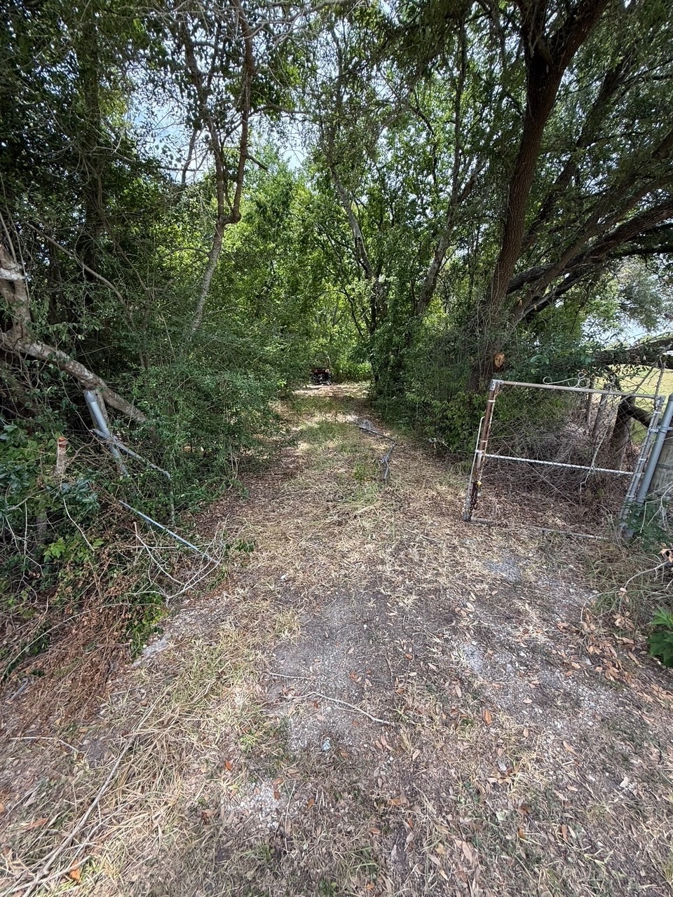 0 Lake Road Property Photo
