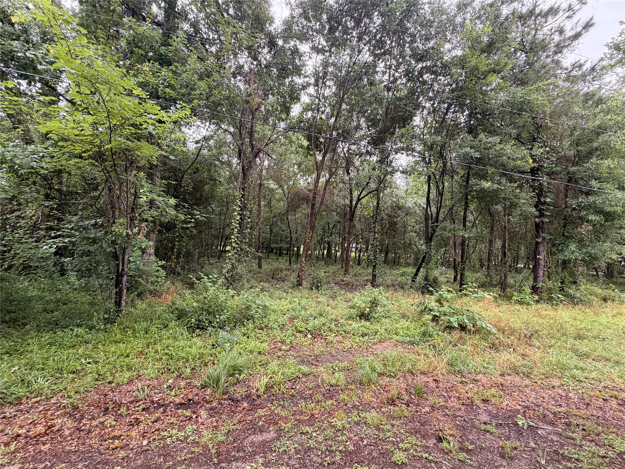 5265 Pecan Tree Lane Property Photo 1