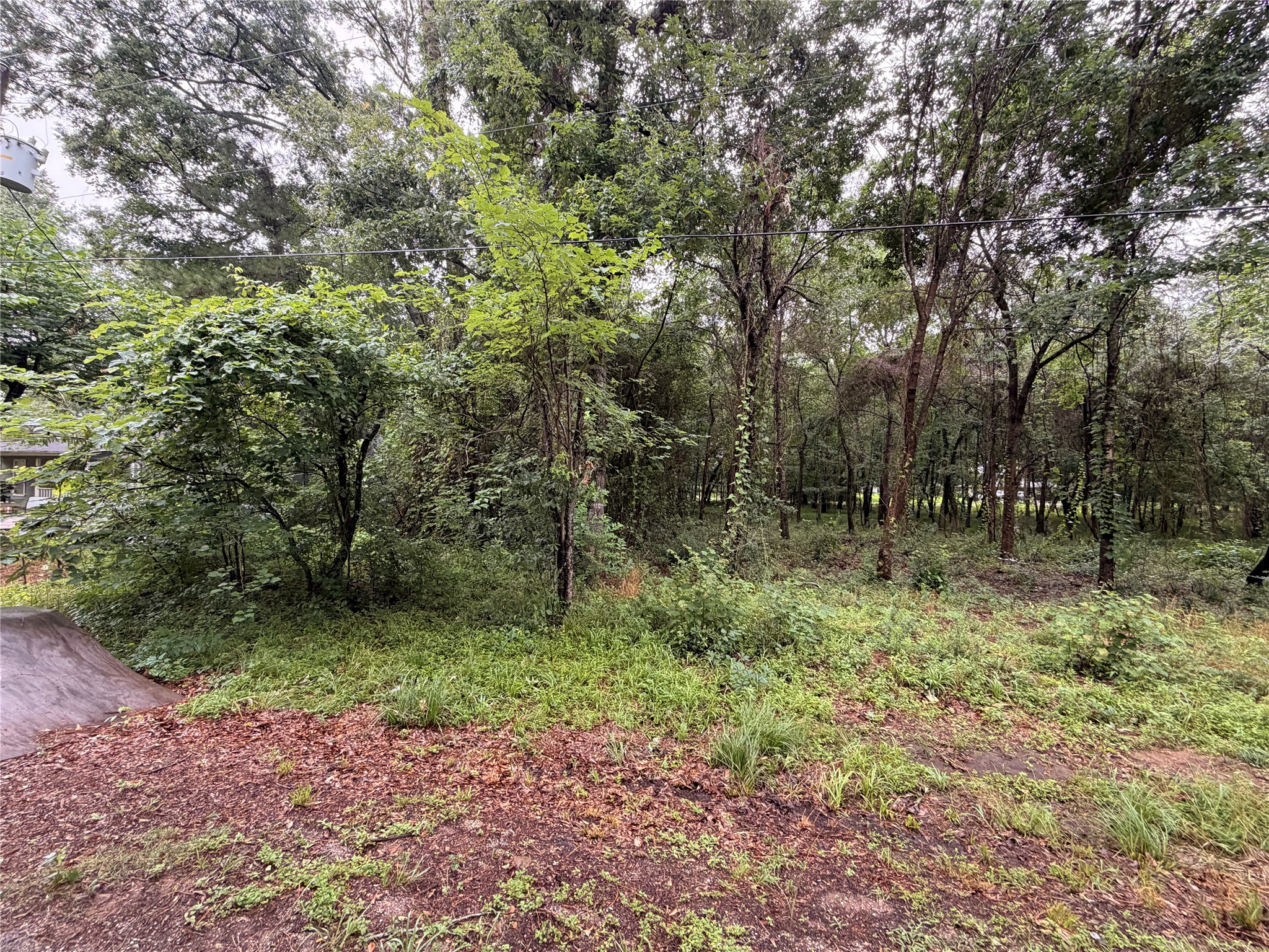 5265 Pecan Tree Lane Property Photo 2