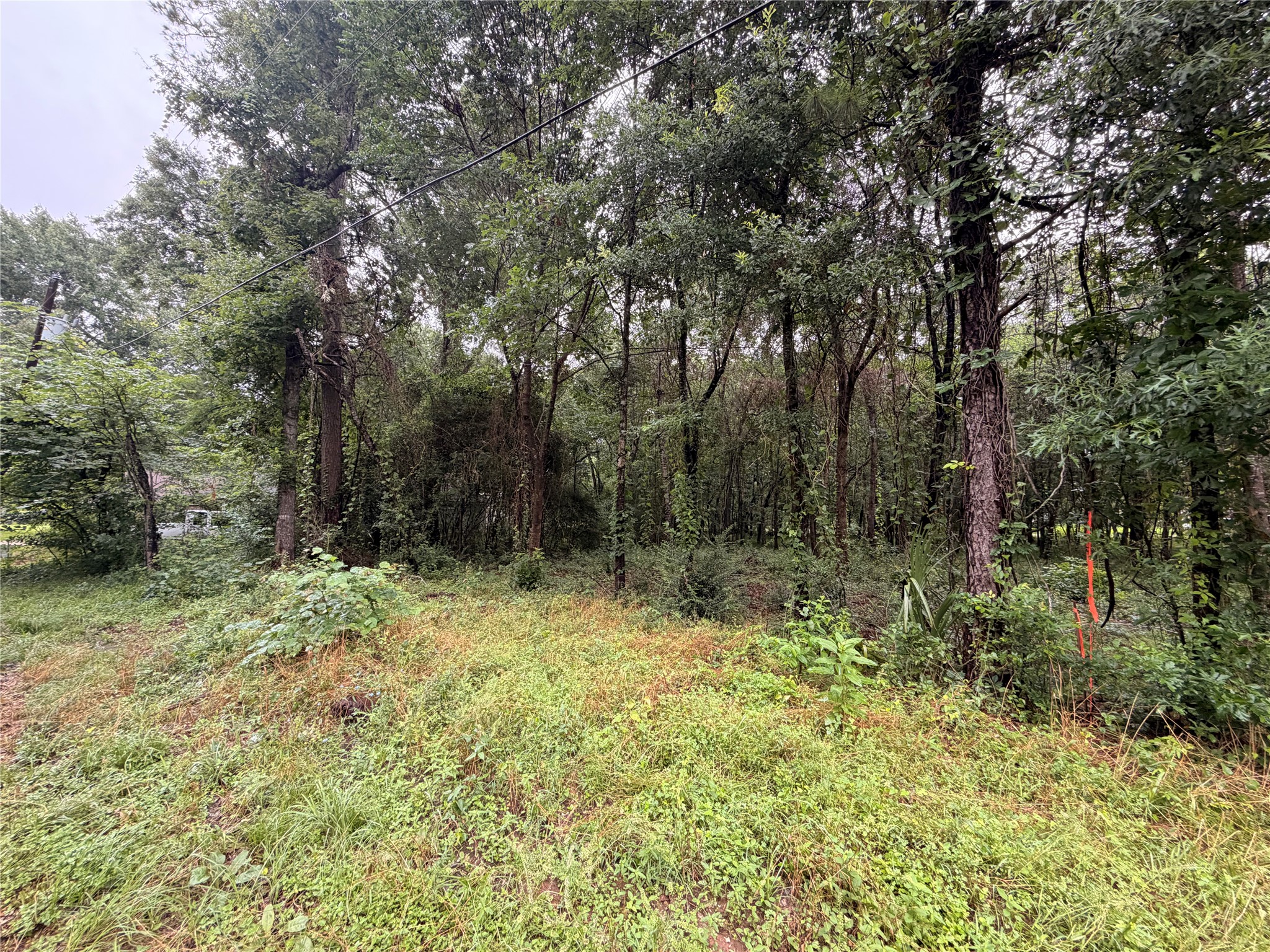 5265 Pecan Tree Lane Property Photo 3
