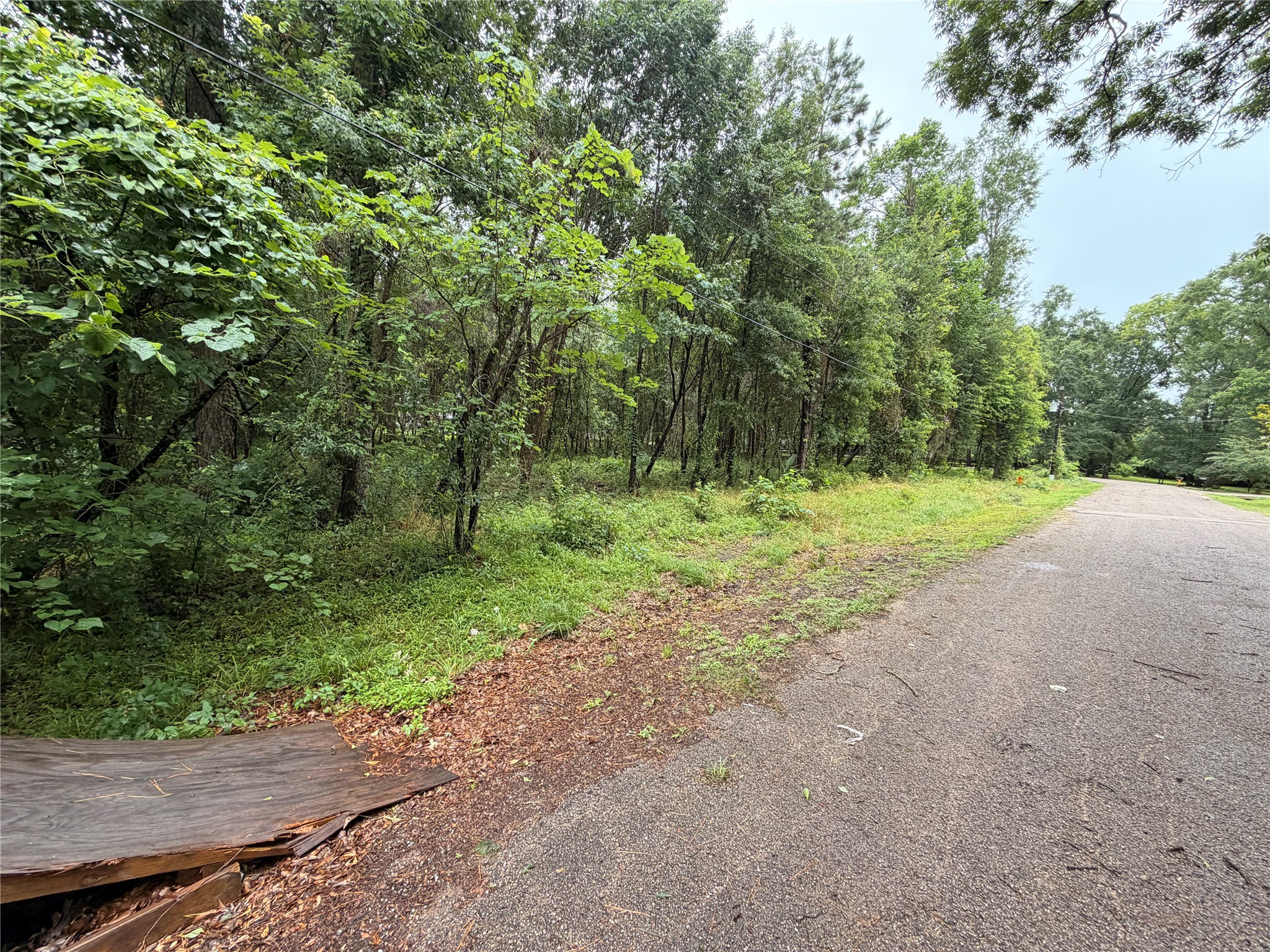 5265 Pecan Tree Lane Property Photo 7
