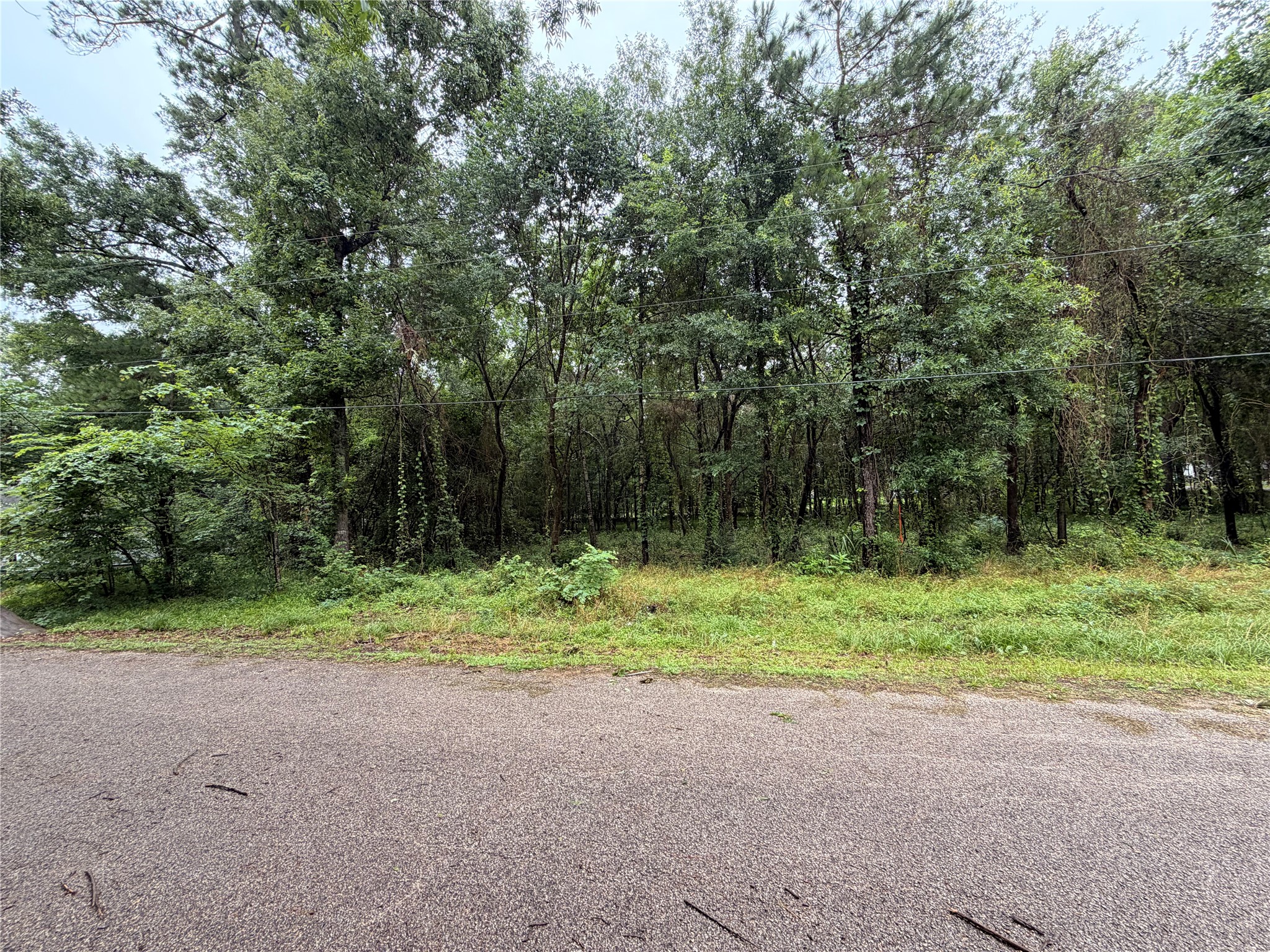 5265 Pecan Tree Lane Property Photo 8