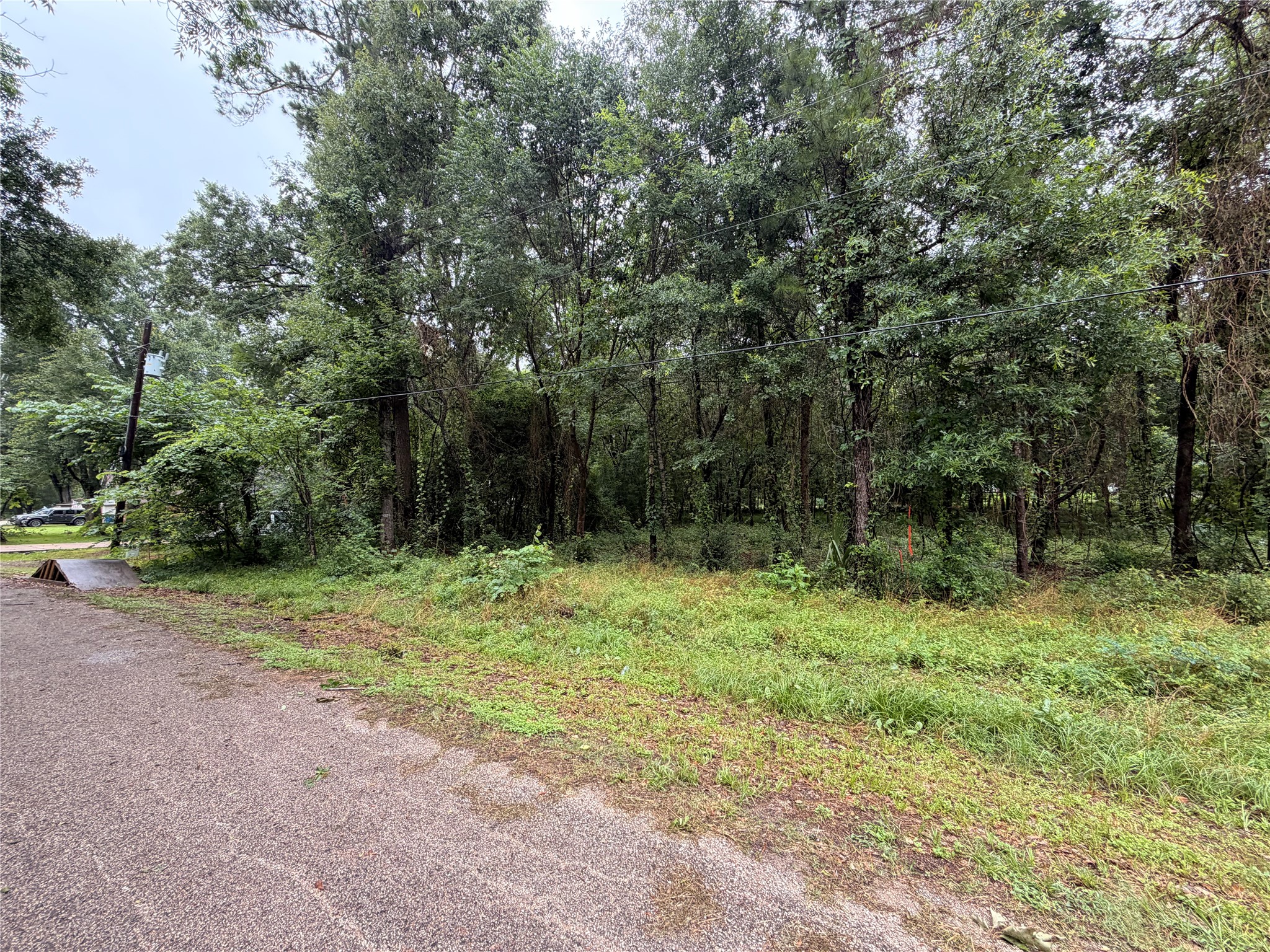 5265 Pecan Tree Lane Property Photo 9