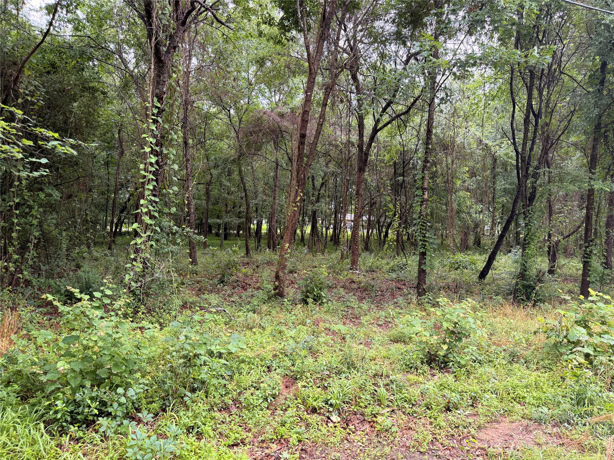5265 Pecan Tree Lane Property Photo 14