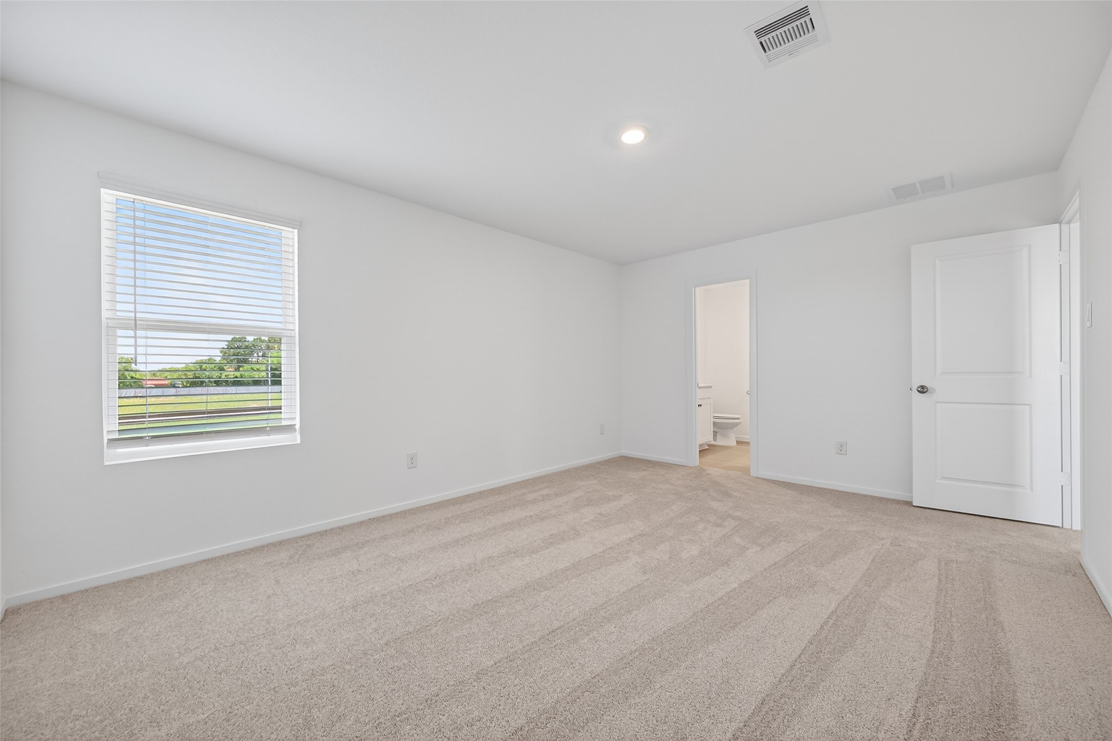 26815 Rosy Shimmer Lane Property Photo 16