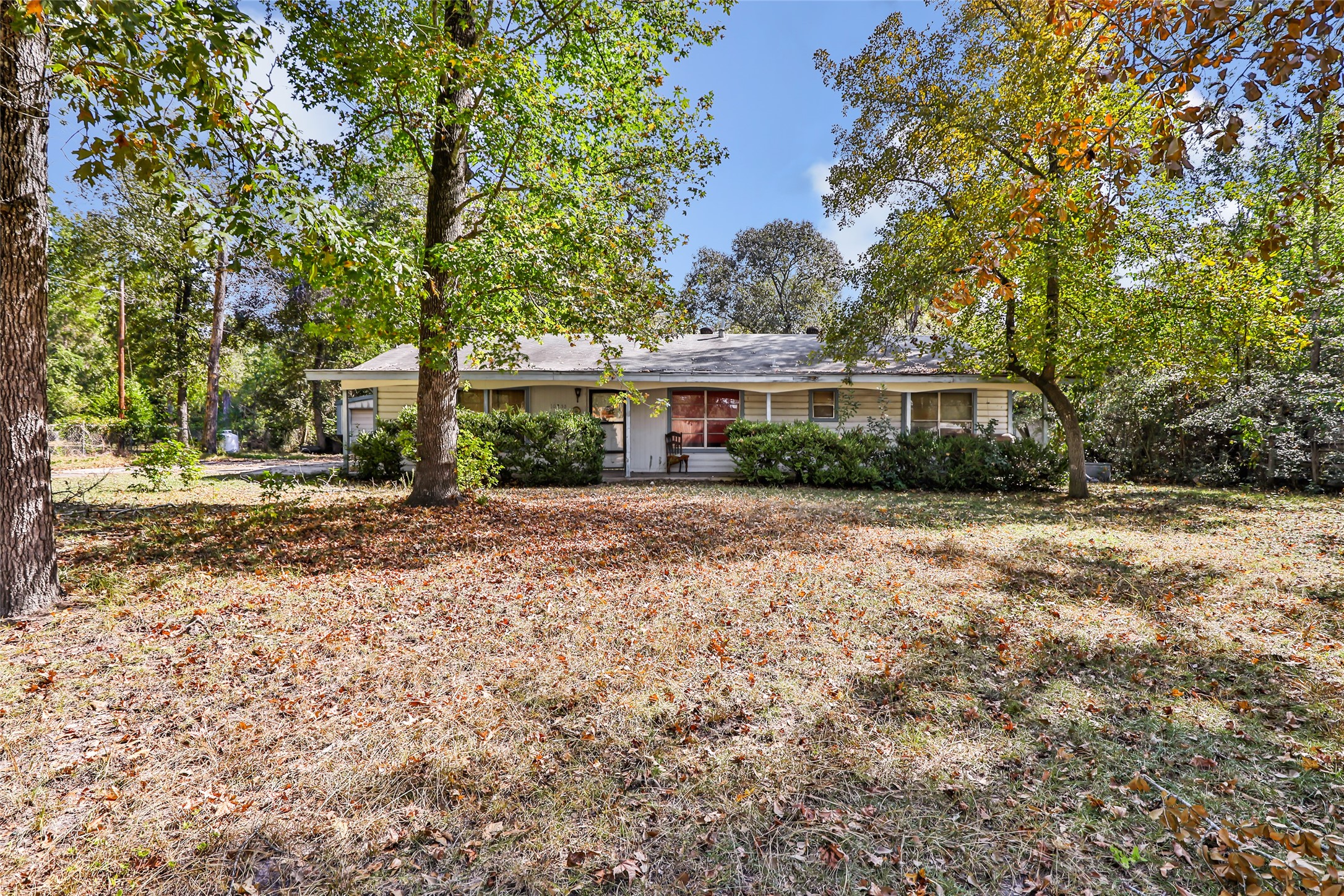 10253 Wanda Lane Property Photo 3