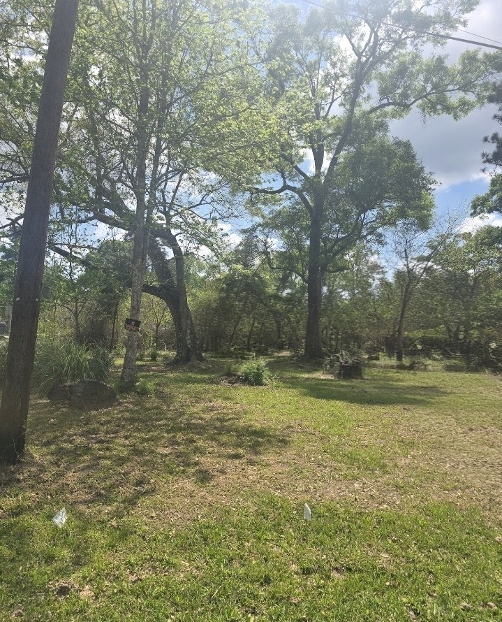 Tbd Peach Creek Property Photo 3