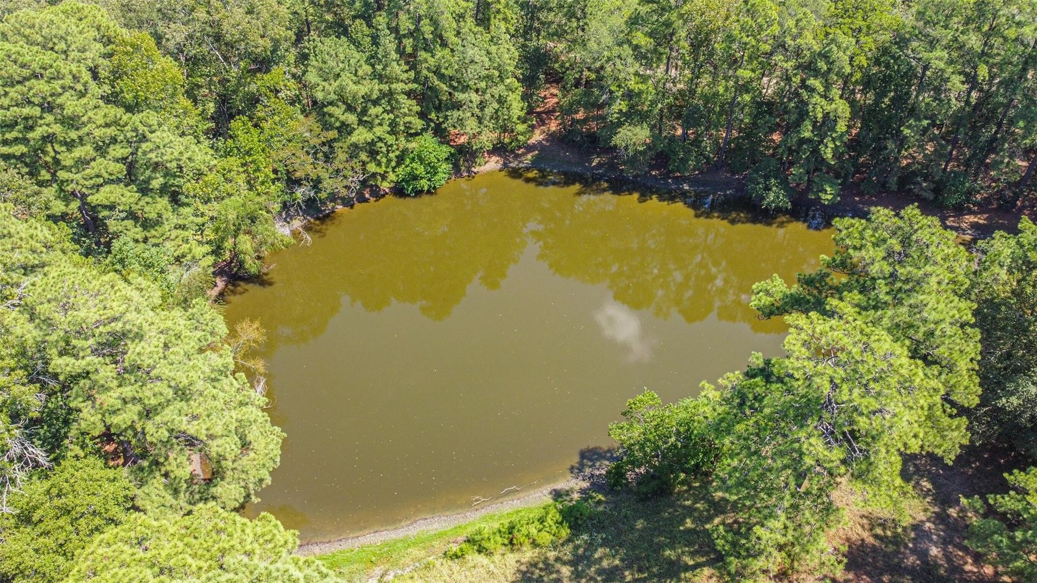 6211 Fm 1374 Road Property Photo 43