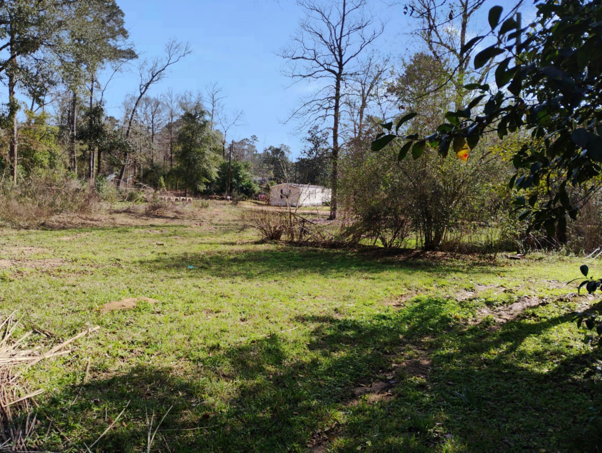 229 Lincoln Drive Property Photo 4