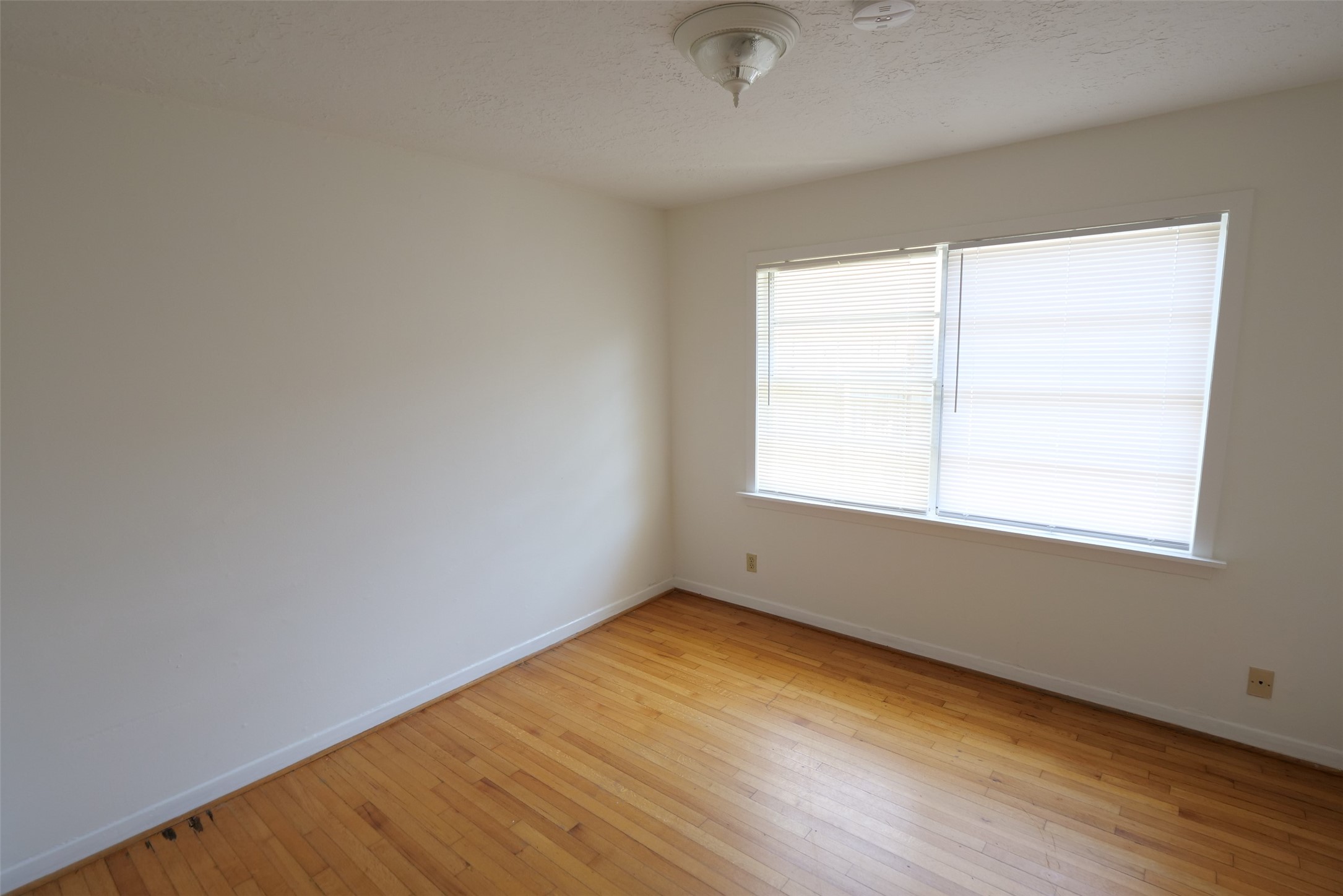5231 Beechnut Street Property Photo 27