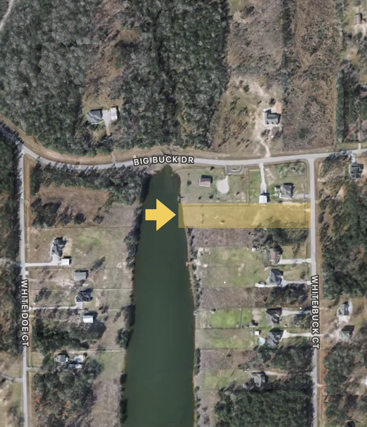 2081 White Buck Court Property Photo 2