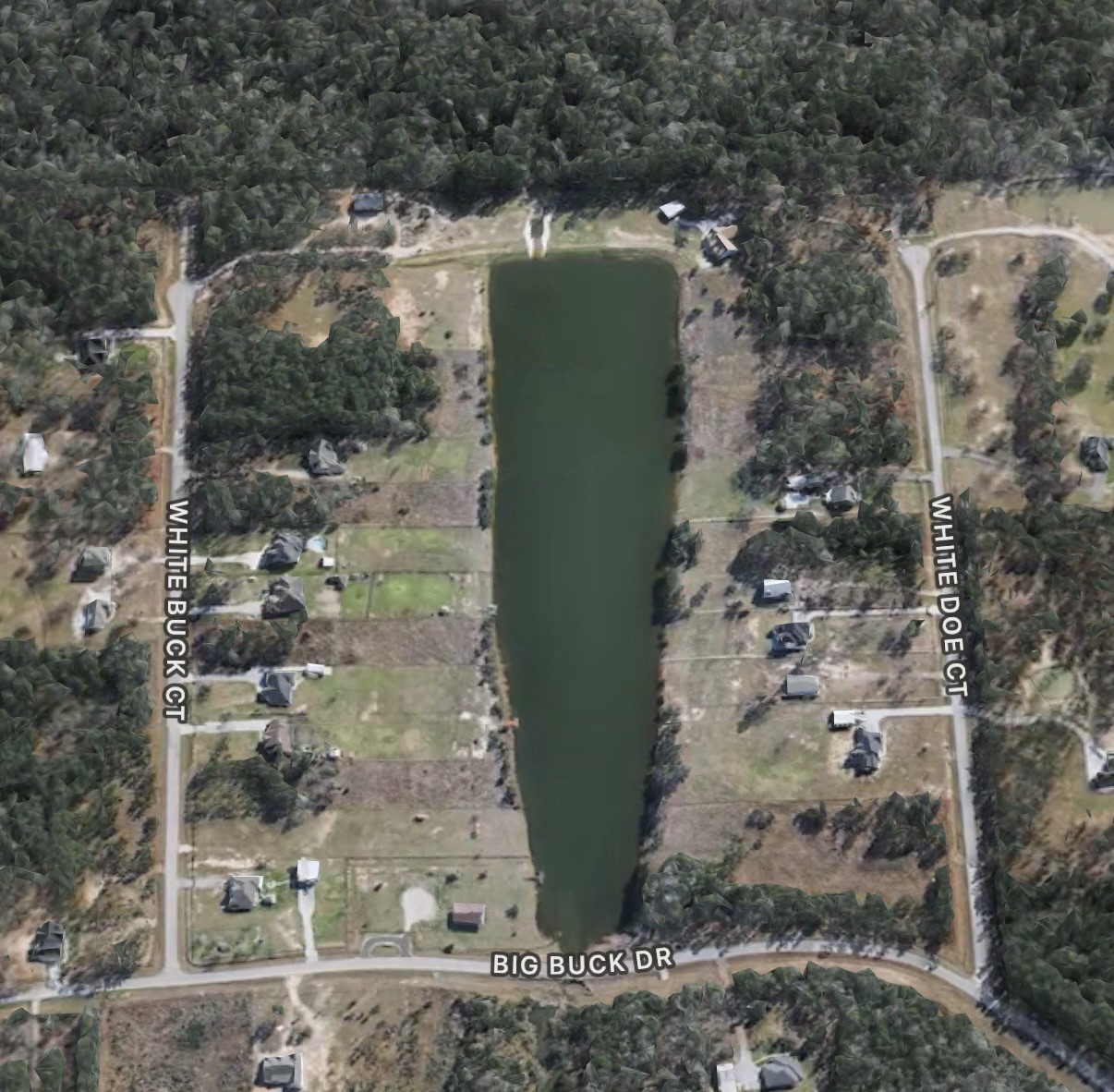2081 White Buck Court Property Photo 4