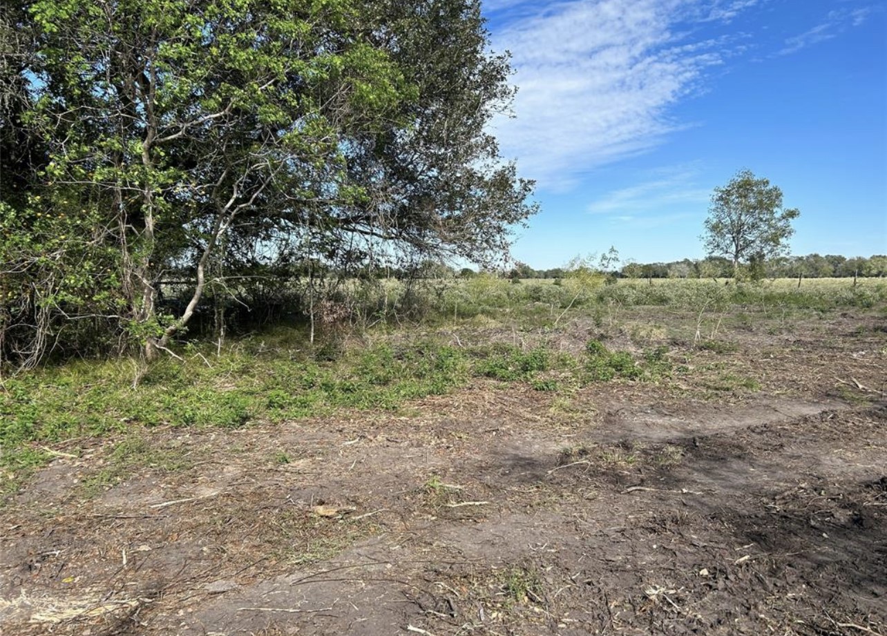 015 County Road 158 Property Photo 4