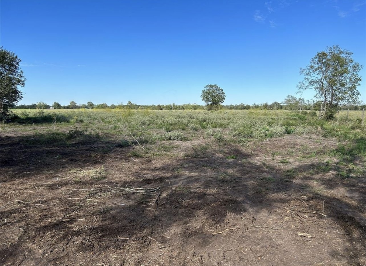 015 County Road 158 Property Photo 5