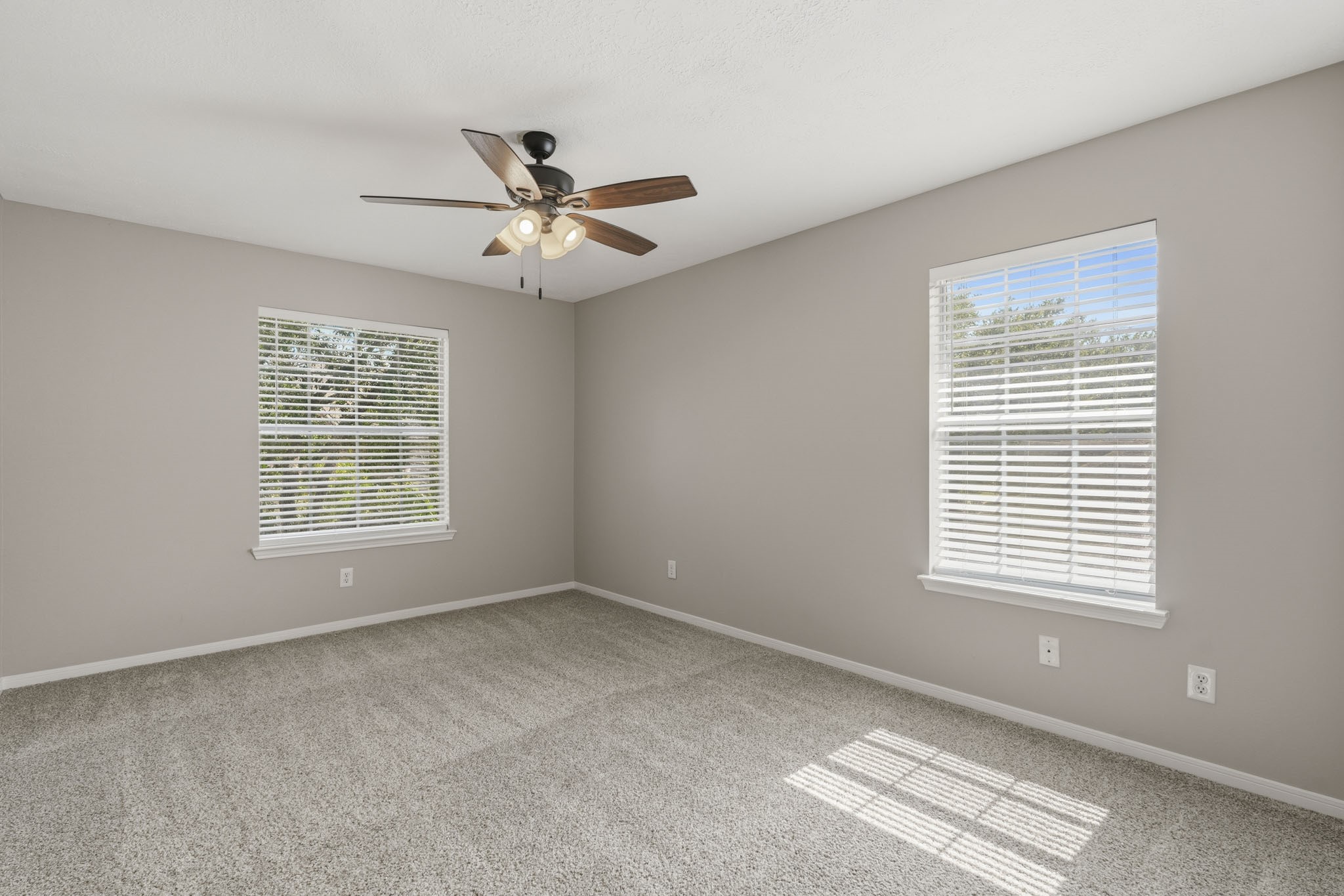 3007 Eagle Lake Drive Property Photo 15
