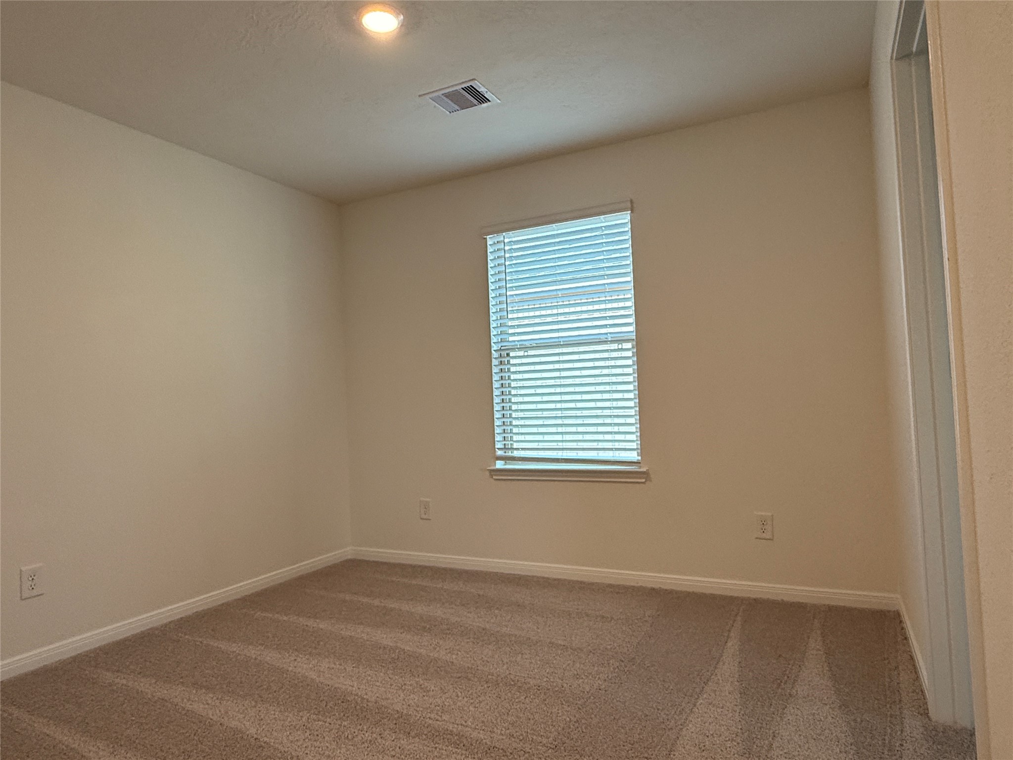 4897 Vida Vista Drive Property Photo 7