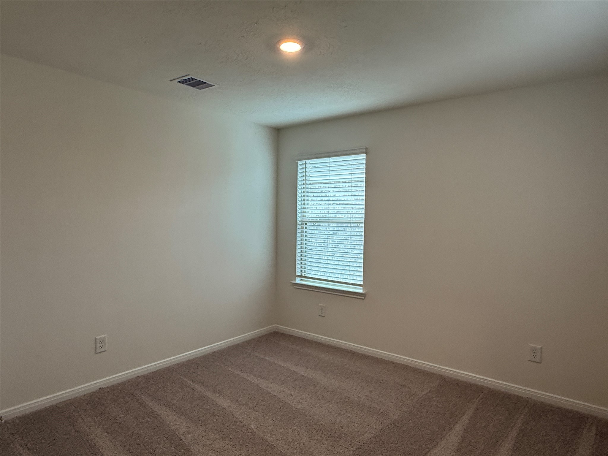 4897 Vida Vista Drive Property Photo 17