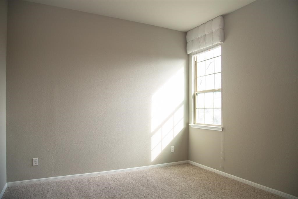4902 Thunder Creek Lane Property Photo 21