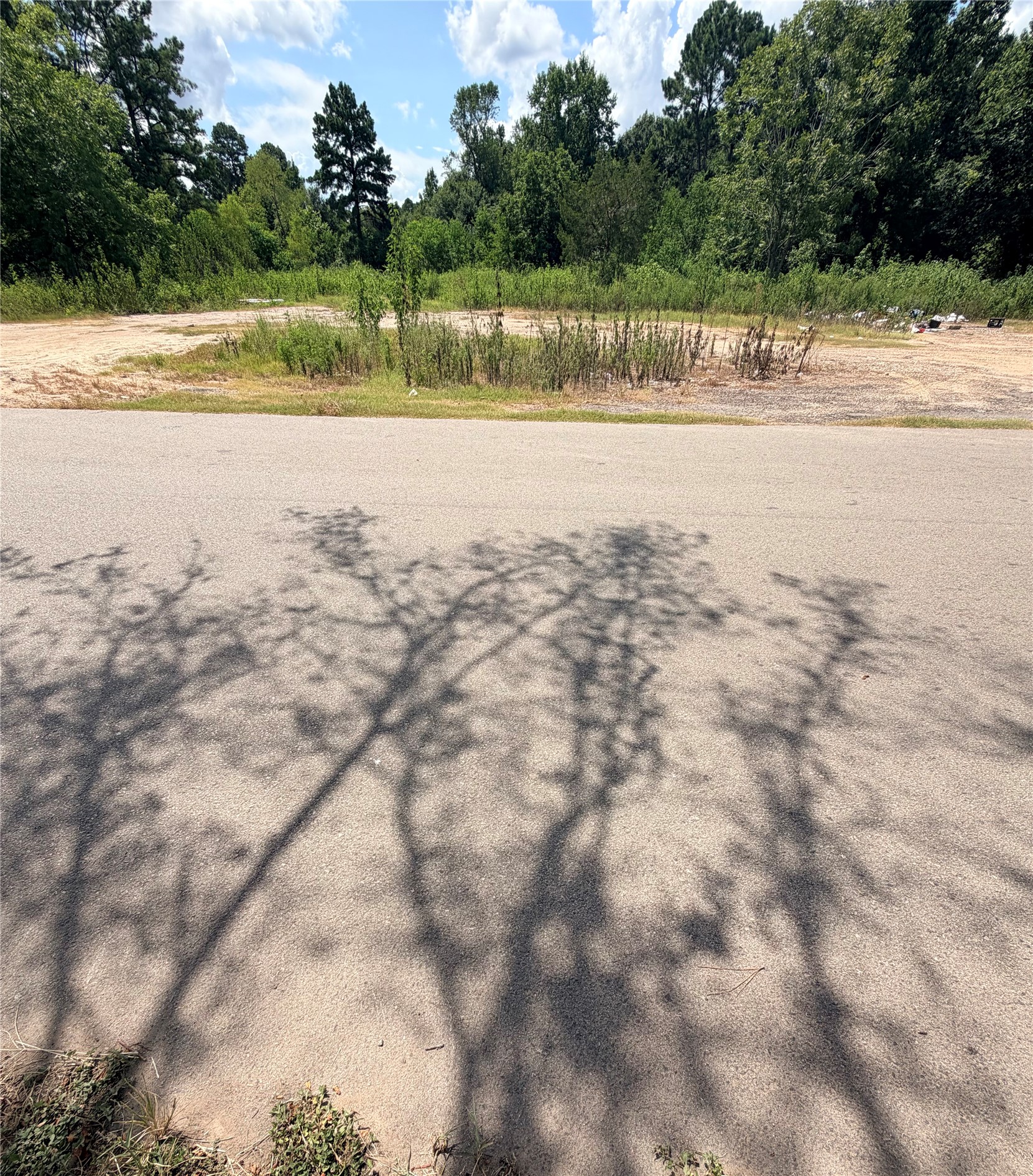 420 E Semands Street Property Photo 4