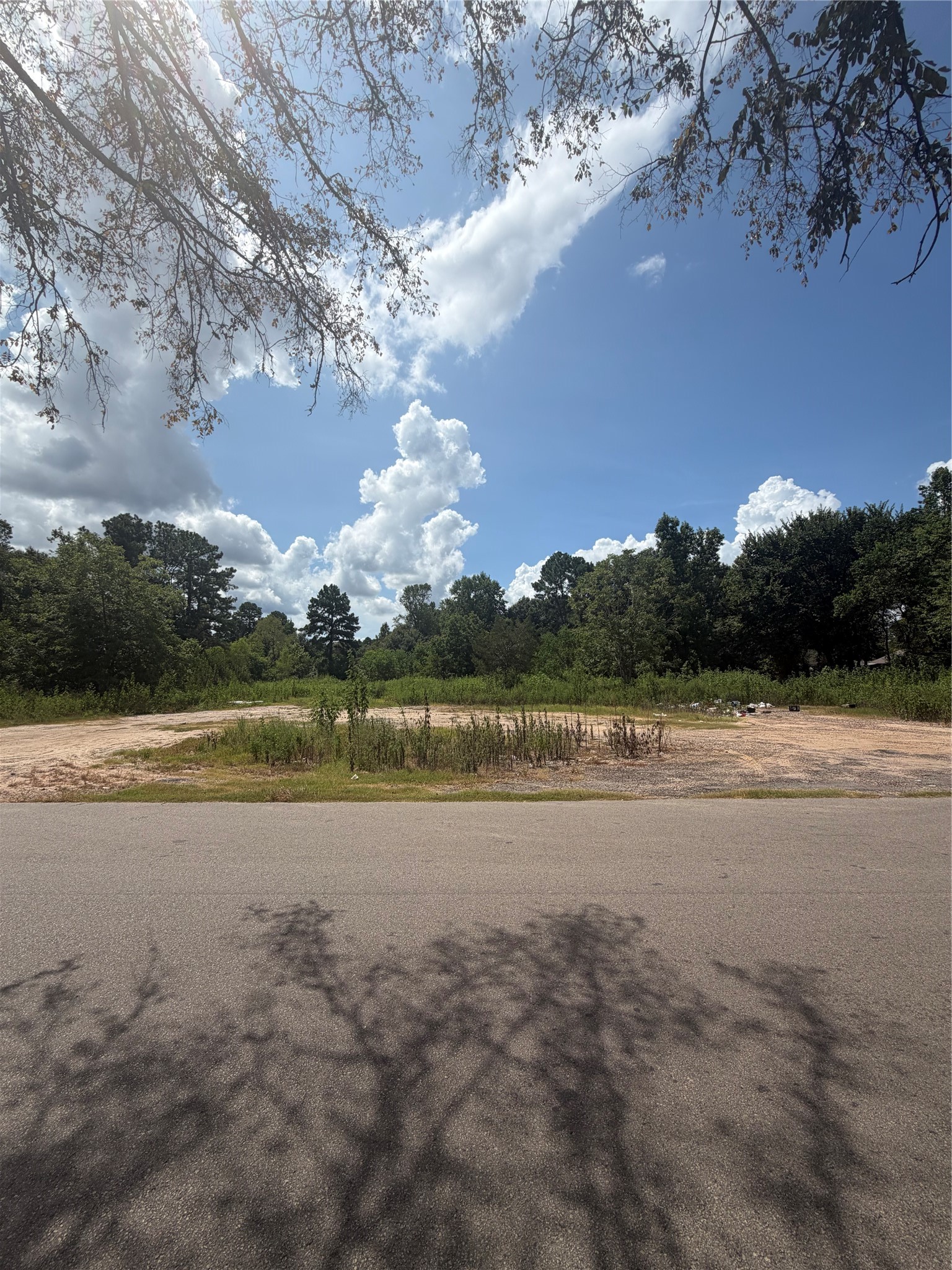 420 E Semands Street Property Photo 6