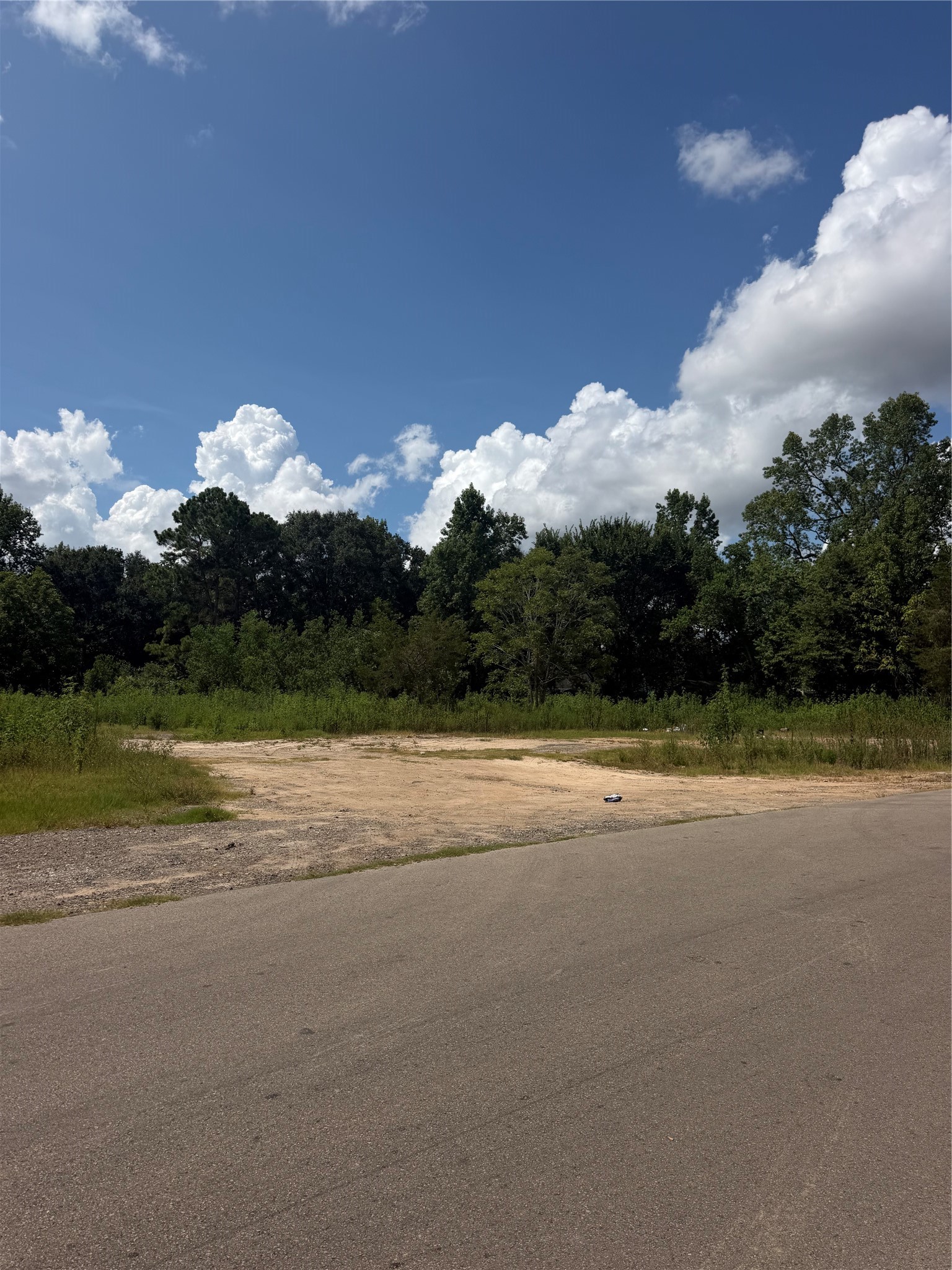 420 E Semands Street Property Photo 8
