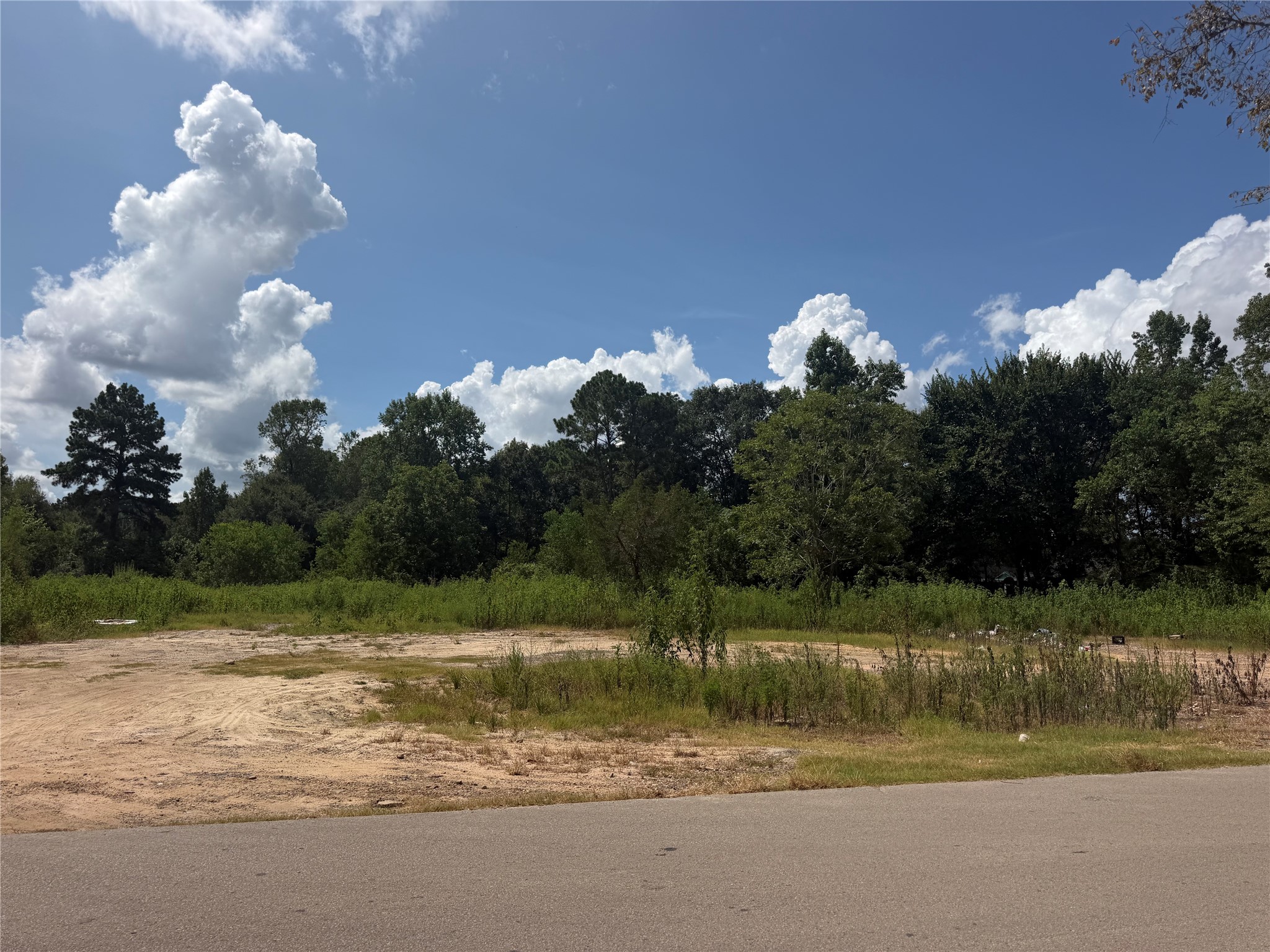 420 E Semands Street Property Photo 9