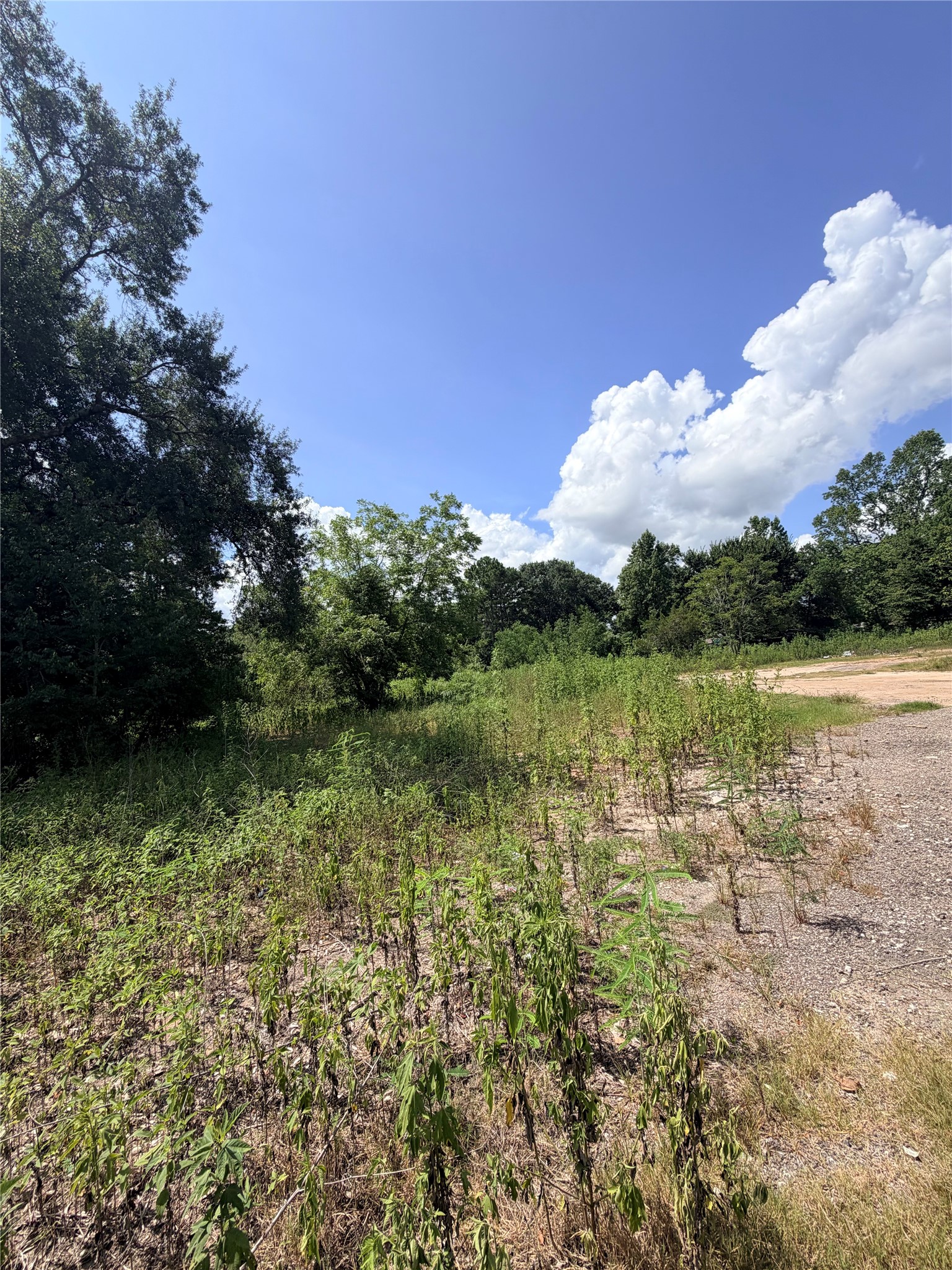 420 E Semands Street Property Photo 10