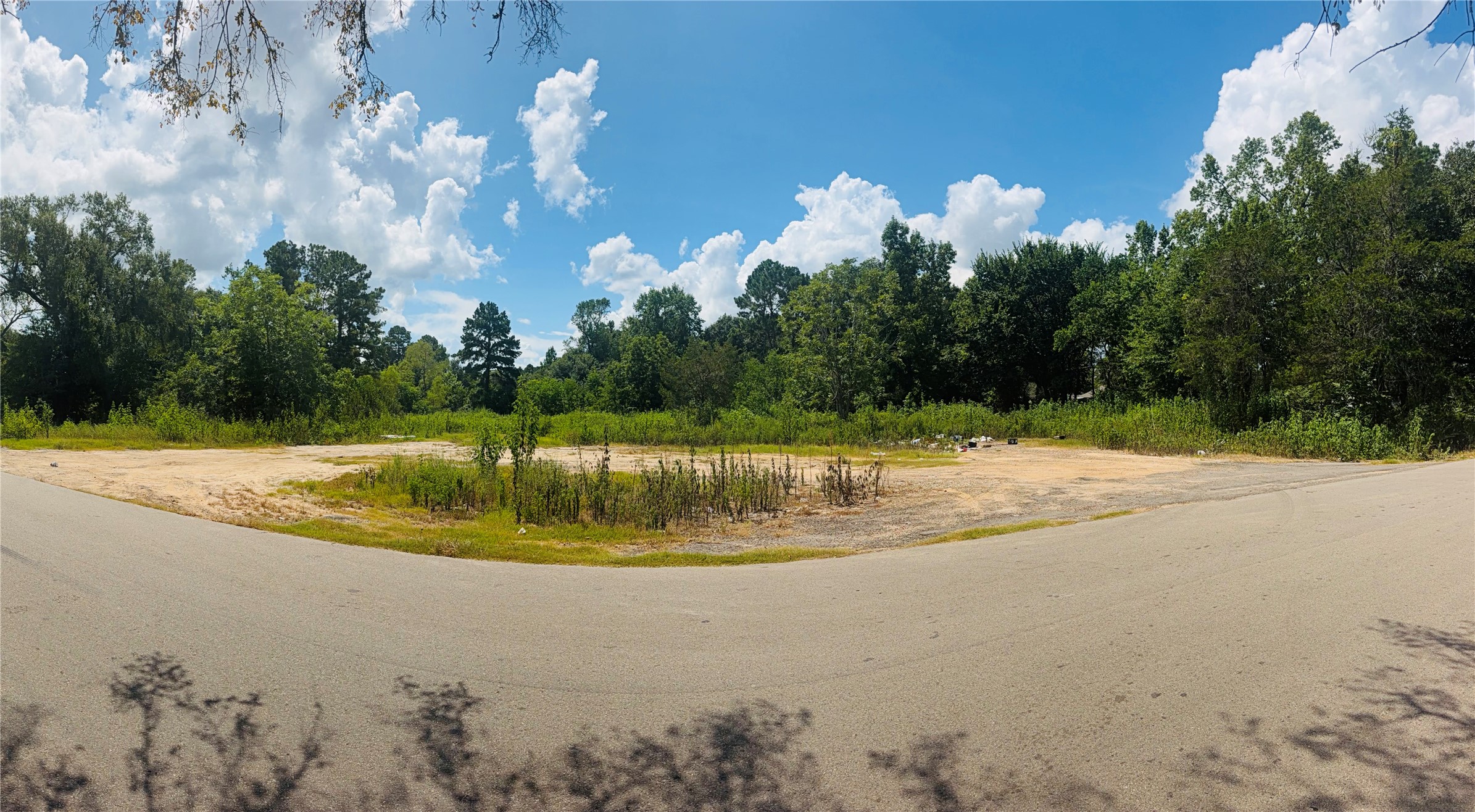 420 E Semands Street Property Photo 11