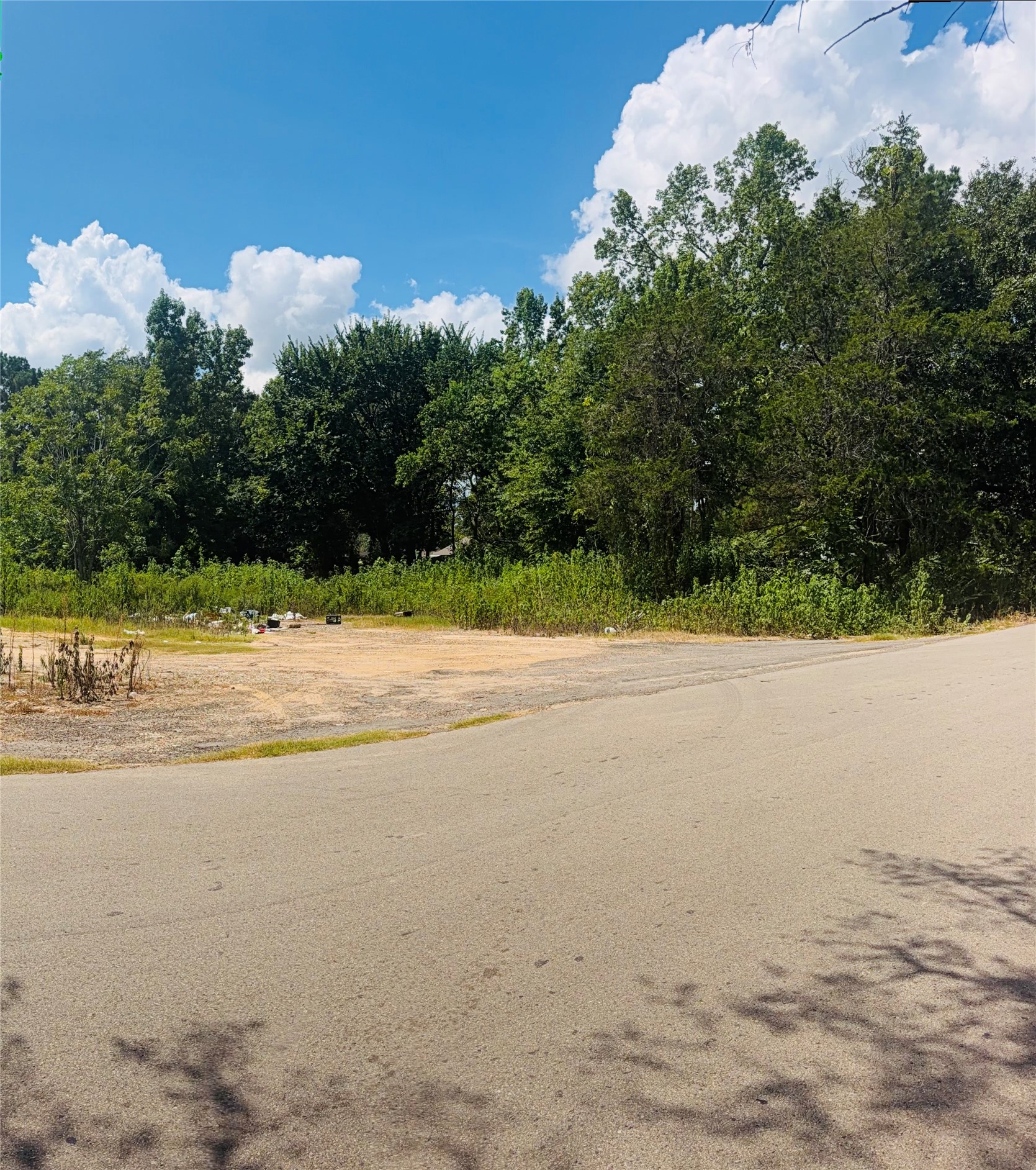 420 E Semands Street Property Photo 12