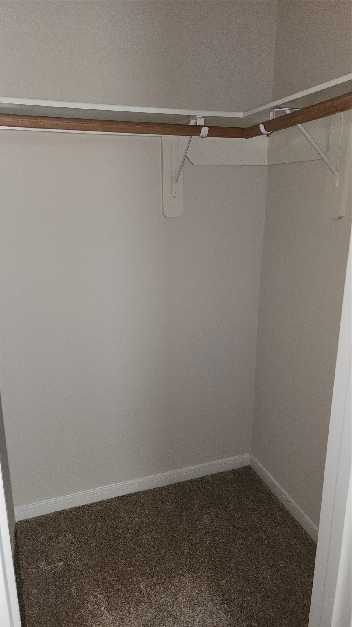 12311 Carriage Oak Circle Property Photo 15