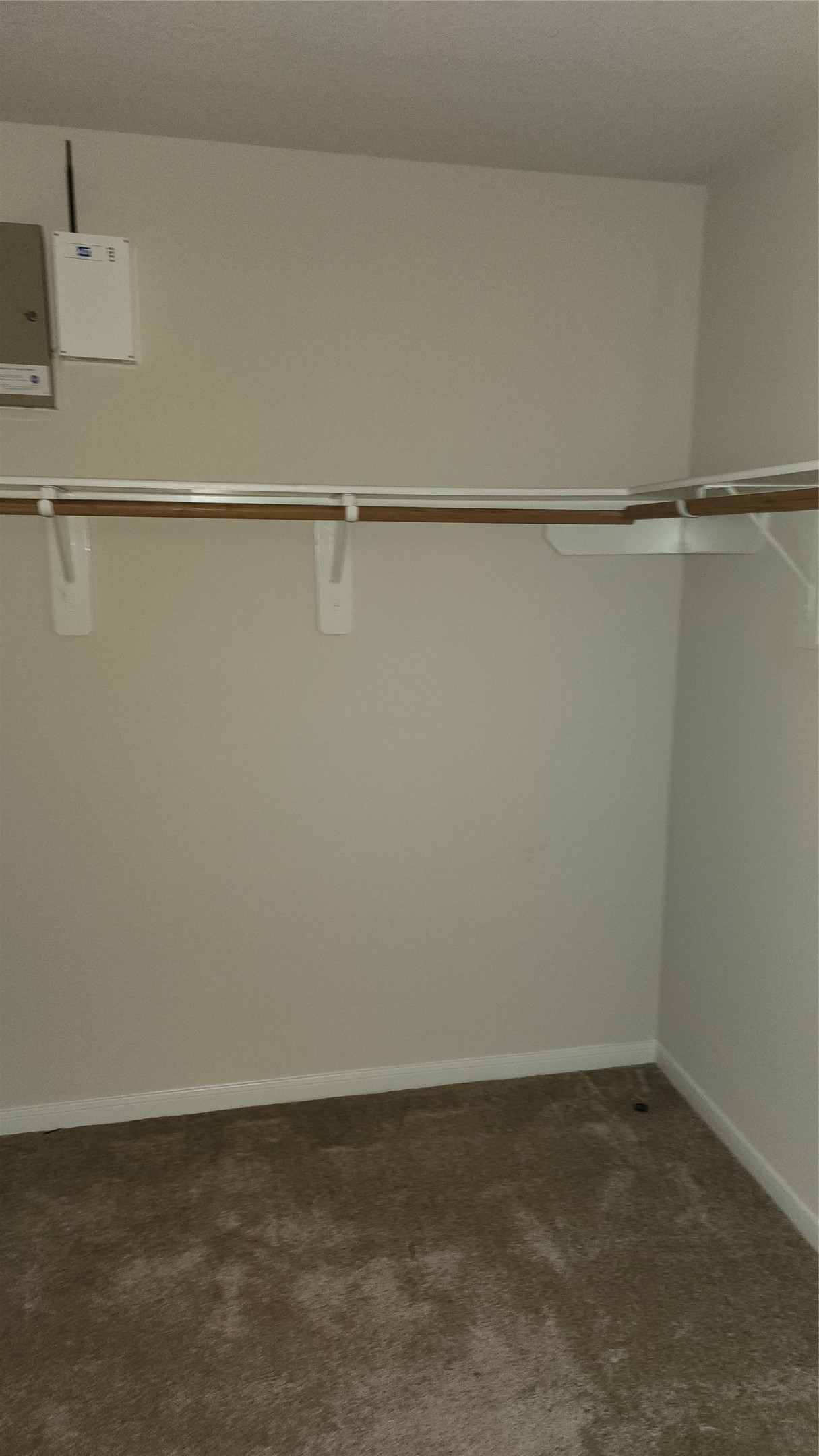 12311 Carriage Oak Circle Property Photo 18