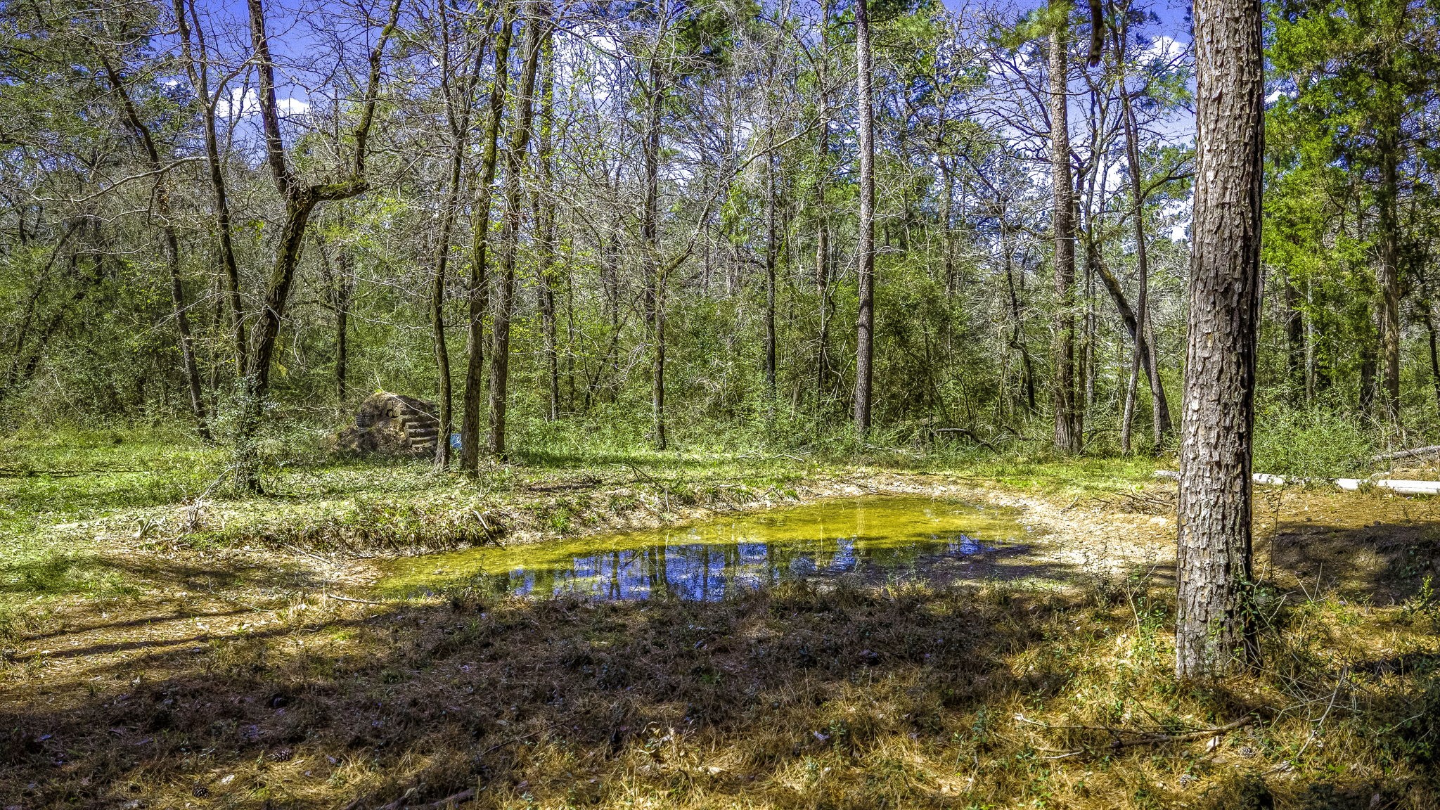 646 County Road 2100 N Property Photo 47