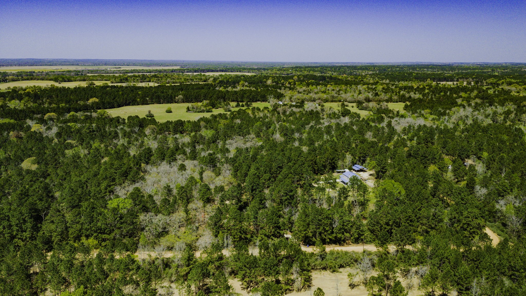646 County Road 2100 N Property Photo 49