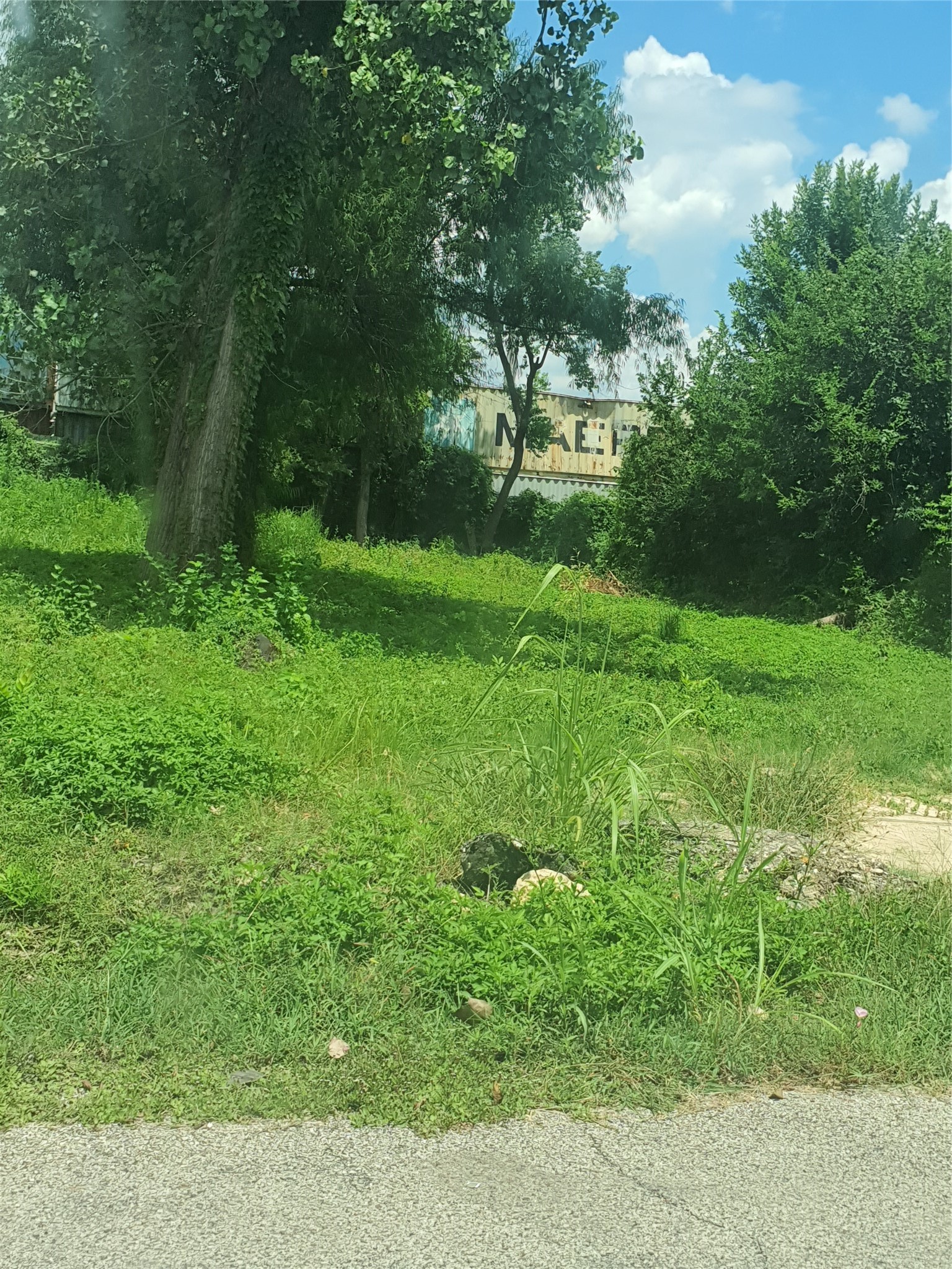 7973 Safebuy Street Property Photo 2