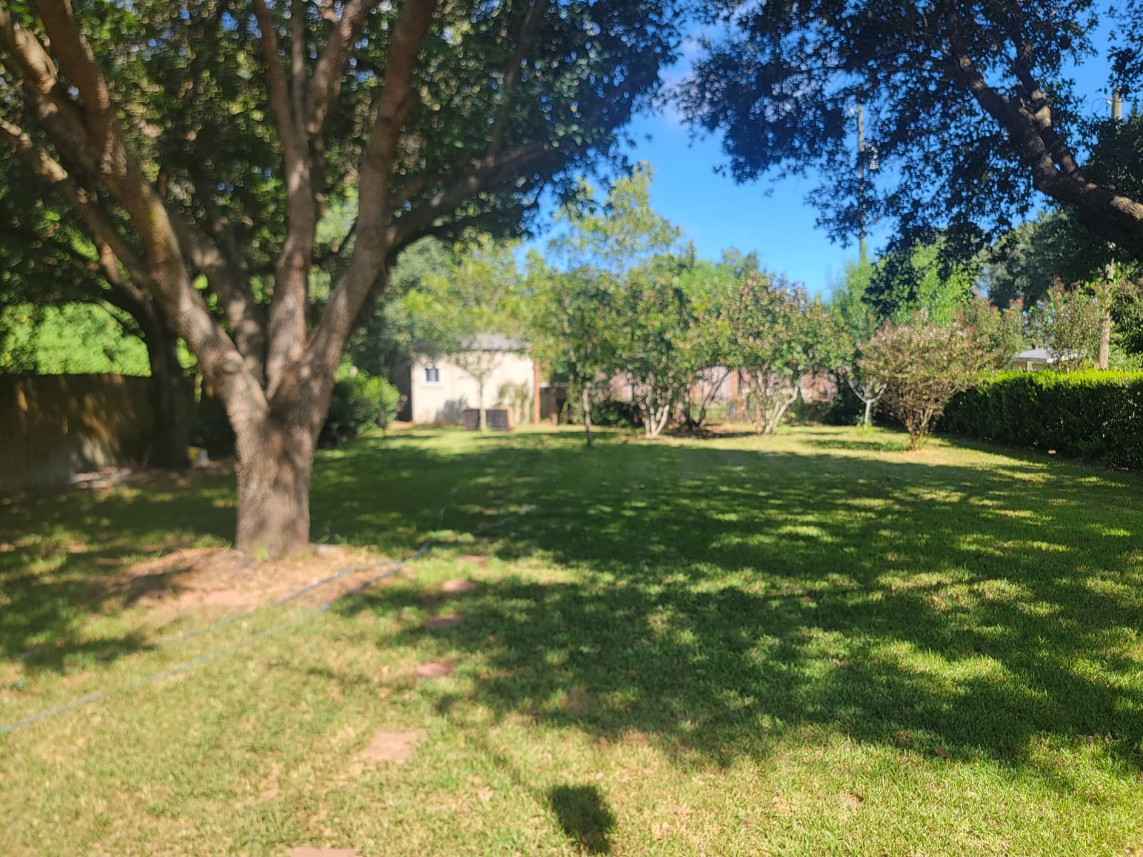 320 Old San Felipe Road Property Photo 12