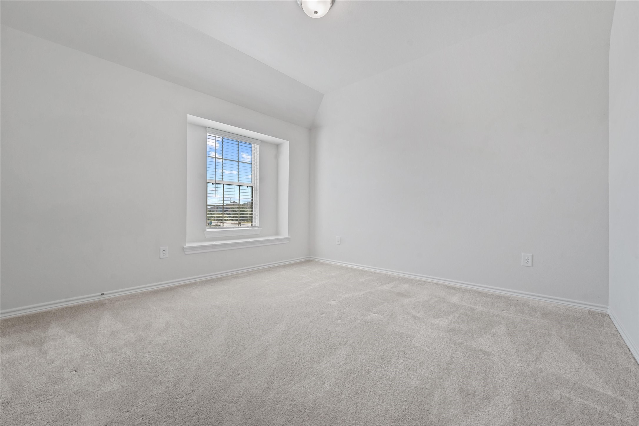 7203 Buckthorn Hollow Trail Property Photo 20