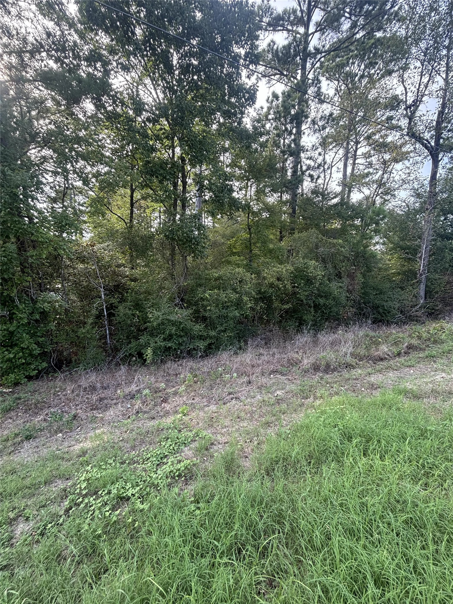 0 Fm-356 Property Photo 5