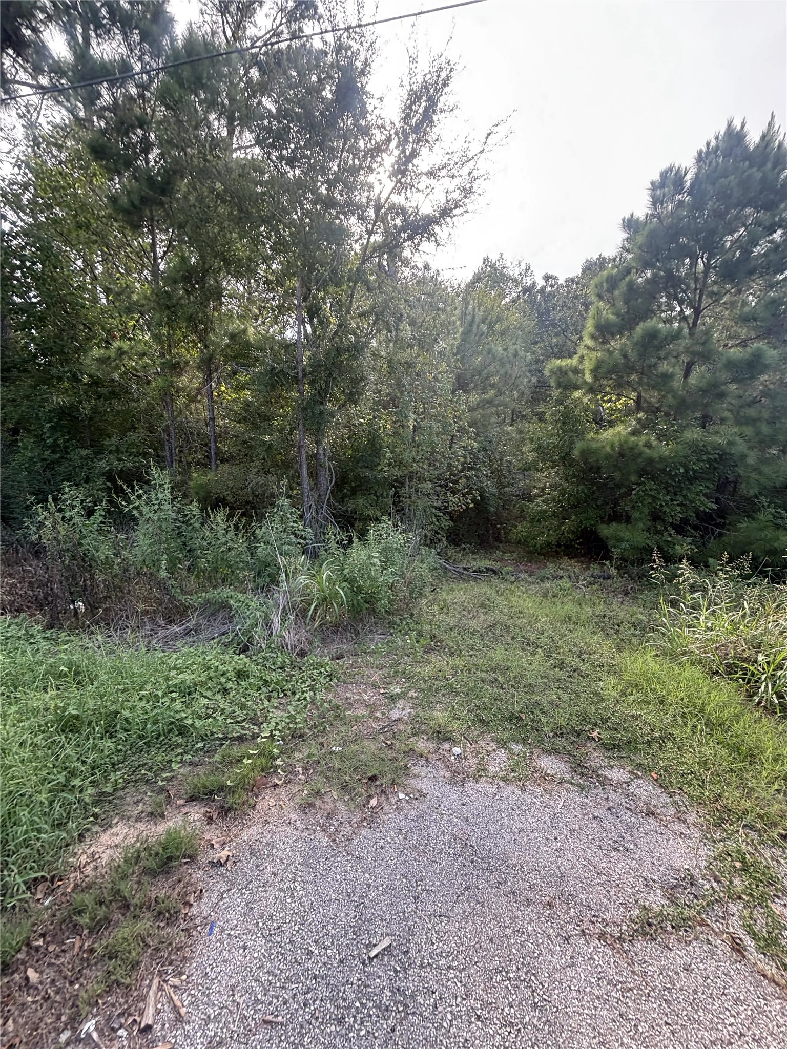 0 Fm-356 Property Photo 6