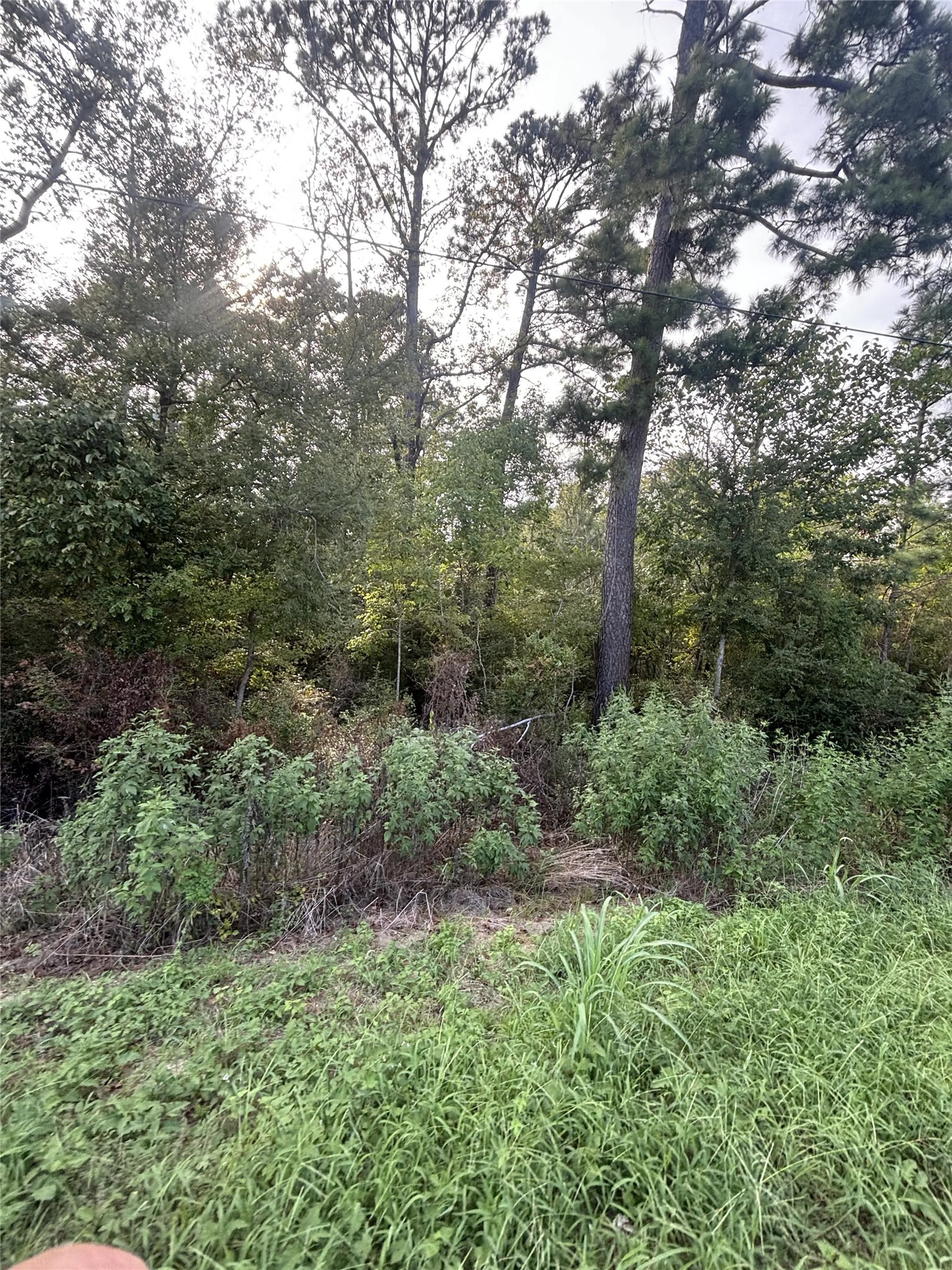 0 Fm-356 Property Photo 7