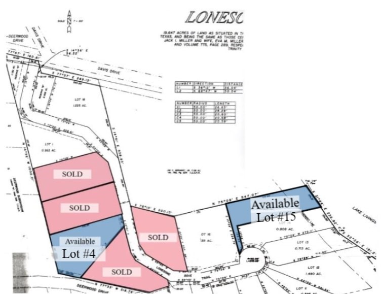 260 Lonesome Dove Trail Property Photo 35